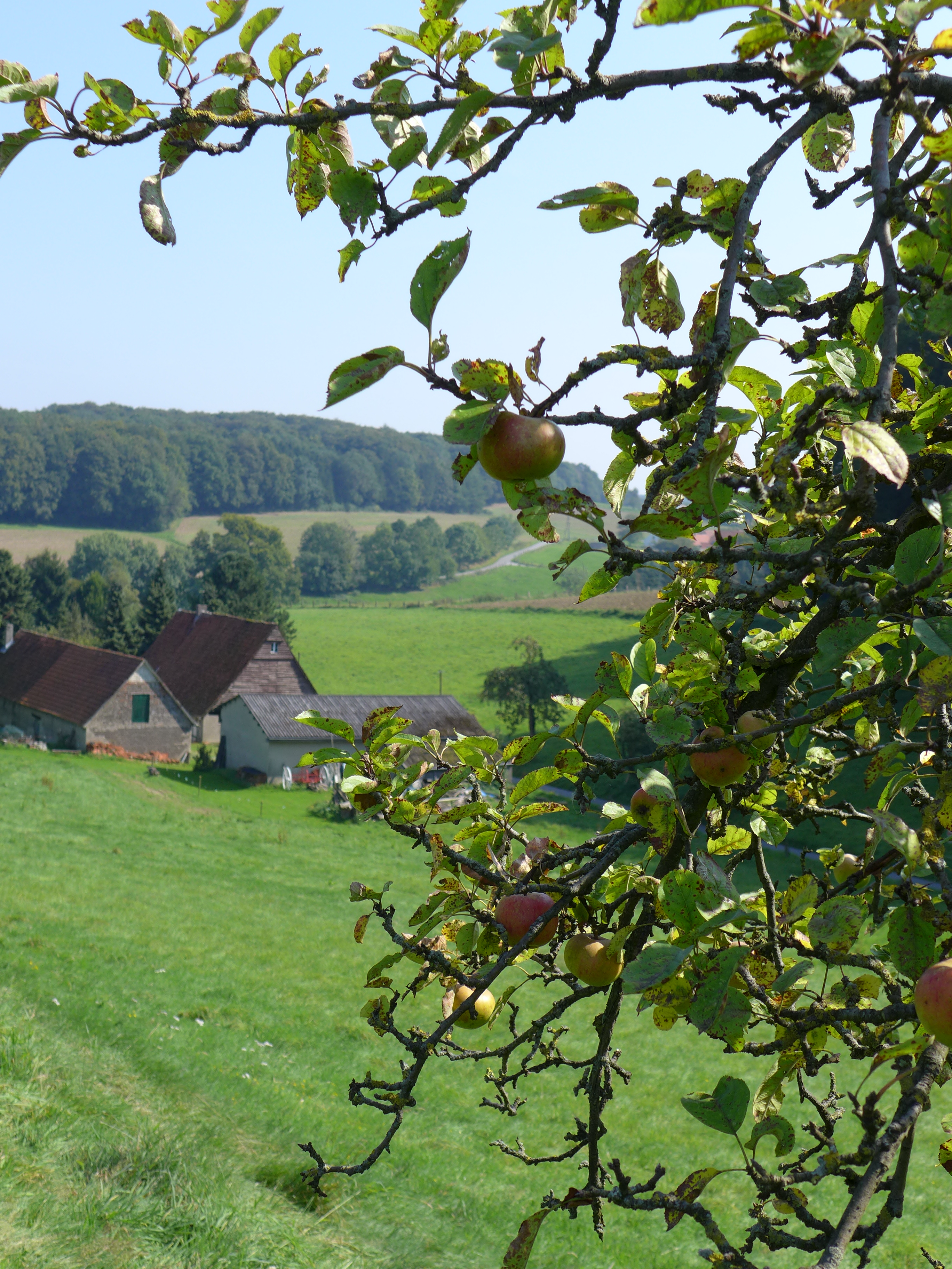 TERRA.track Zittertal