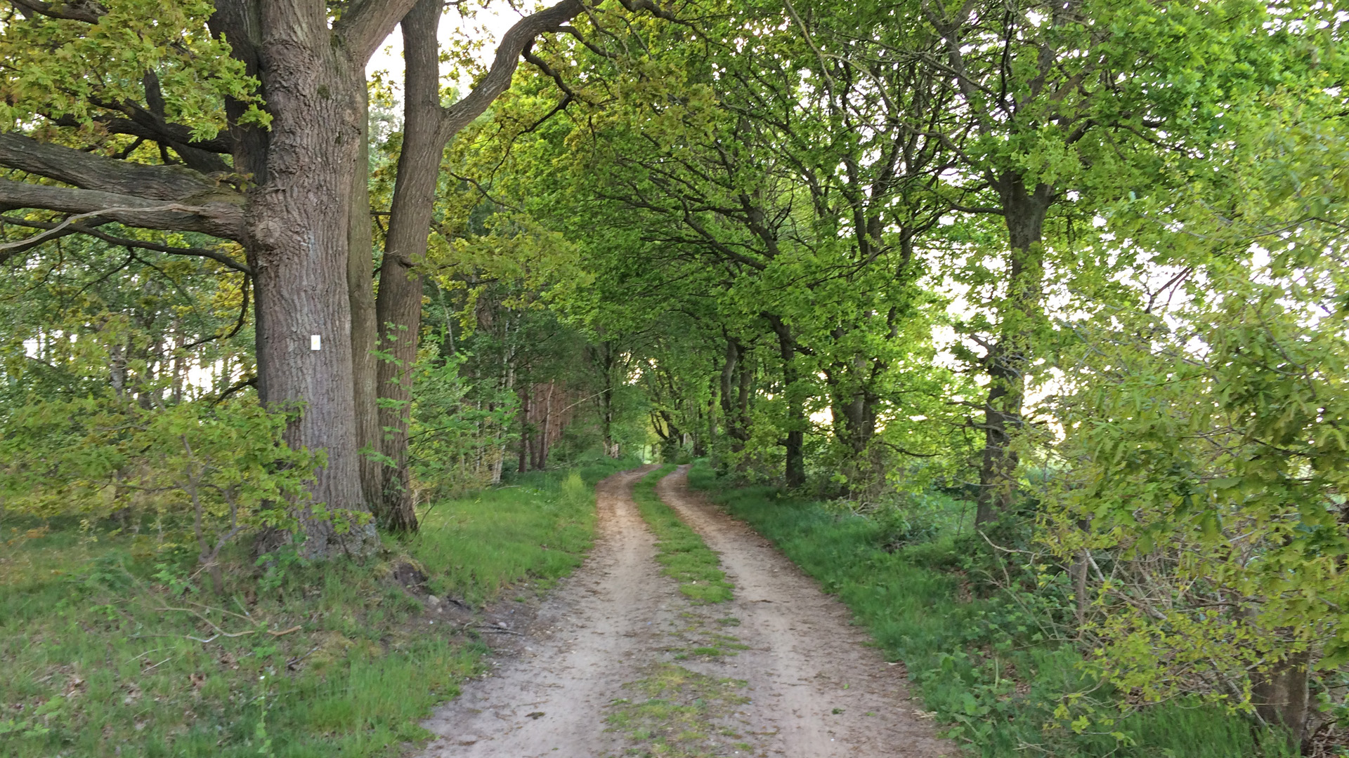 ORTSWEG Rund um Flötenkiel