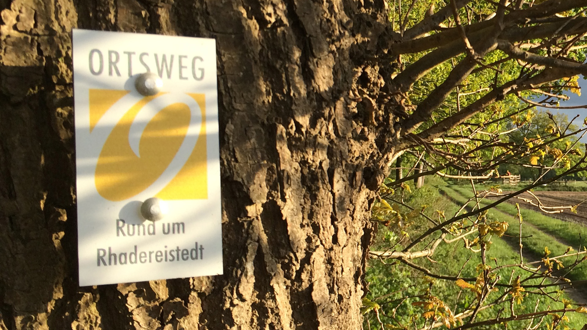 Markierungszeichen des ORTSWEGES Rund um Rhadereistedt