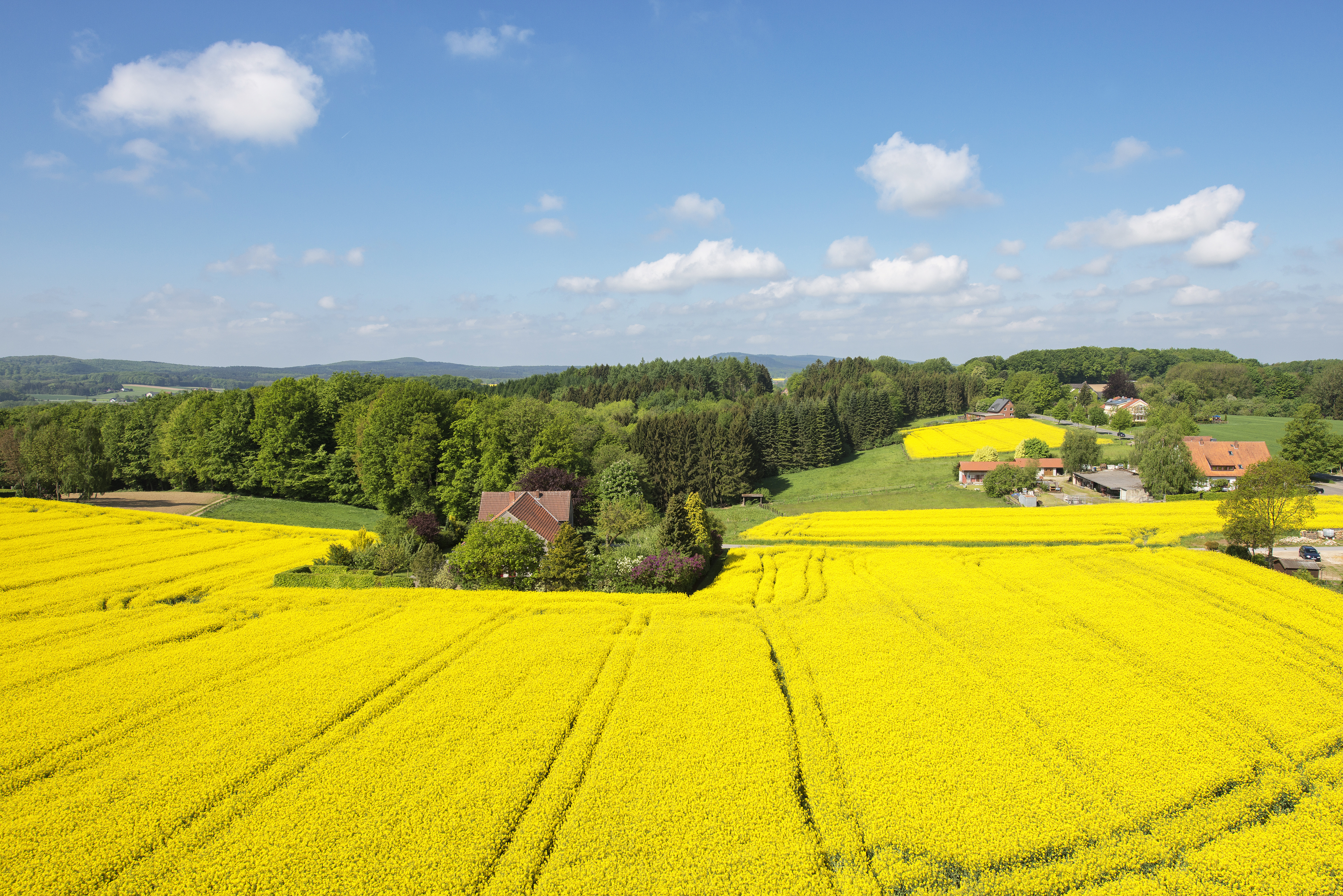 TERRA.track Borgloher Schweiz