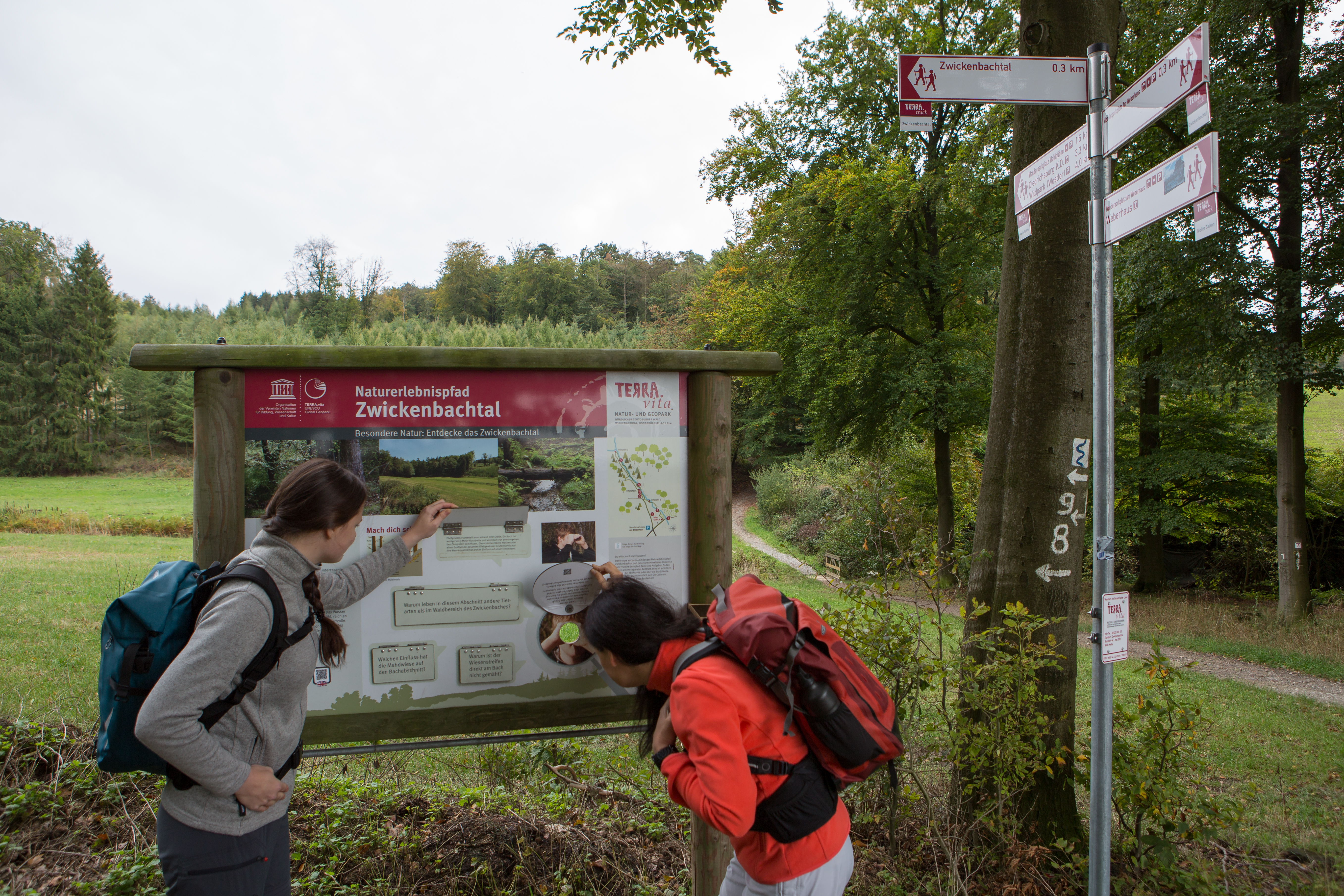 TERRA.track Naturerlebnispfad Zwickenbachtal