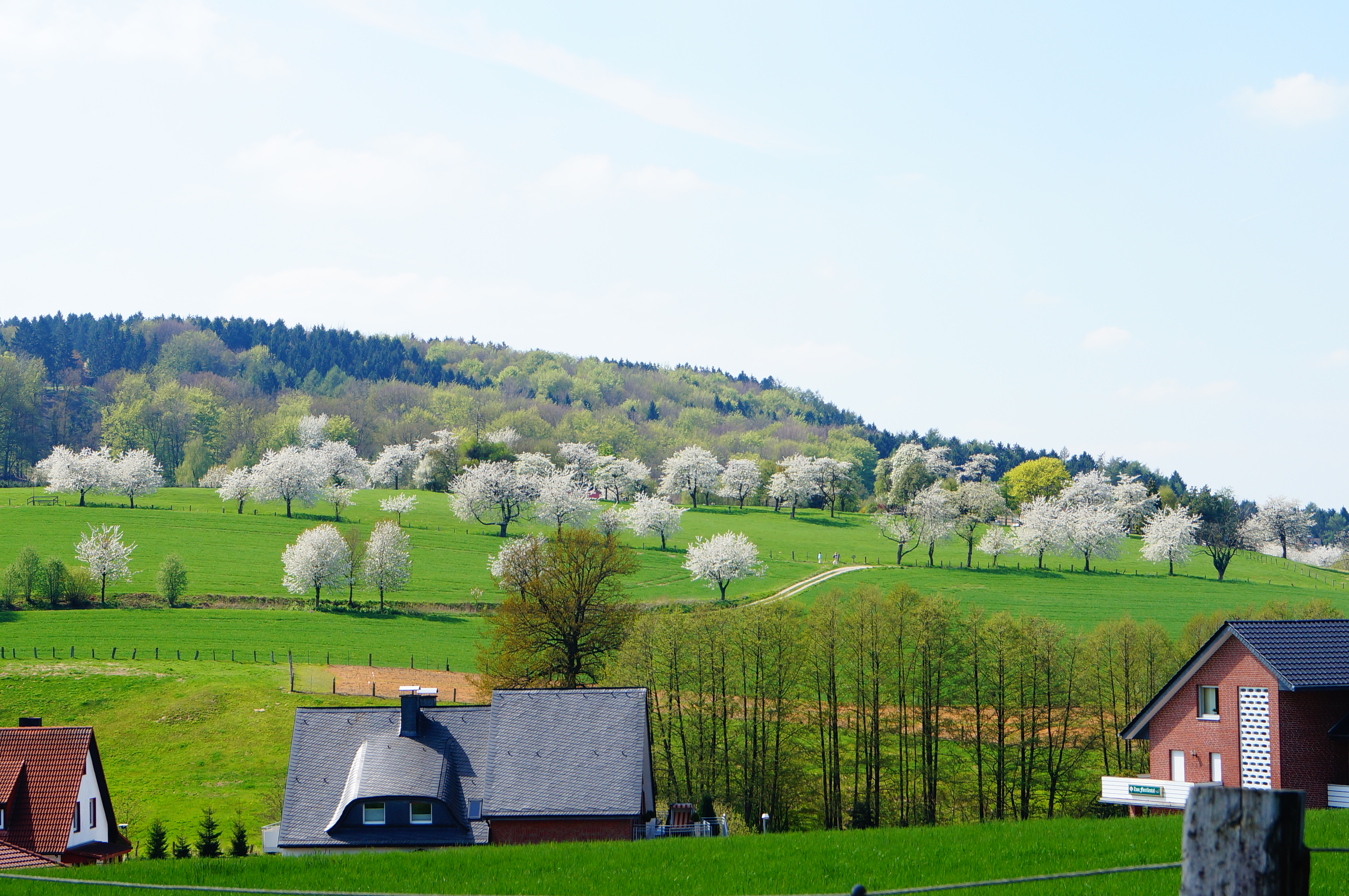 Kirschwanderweg 3 - zu schönen Aussichten mit Hagener Kirschsorten