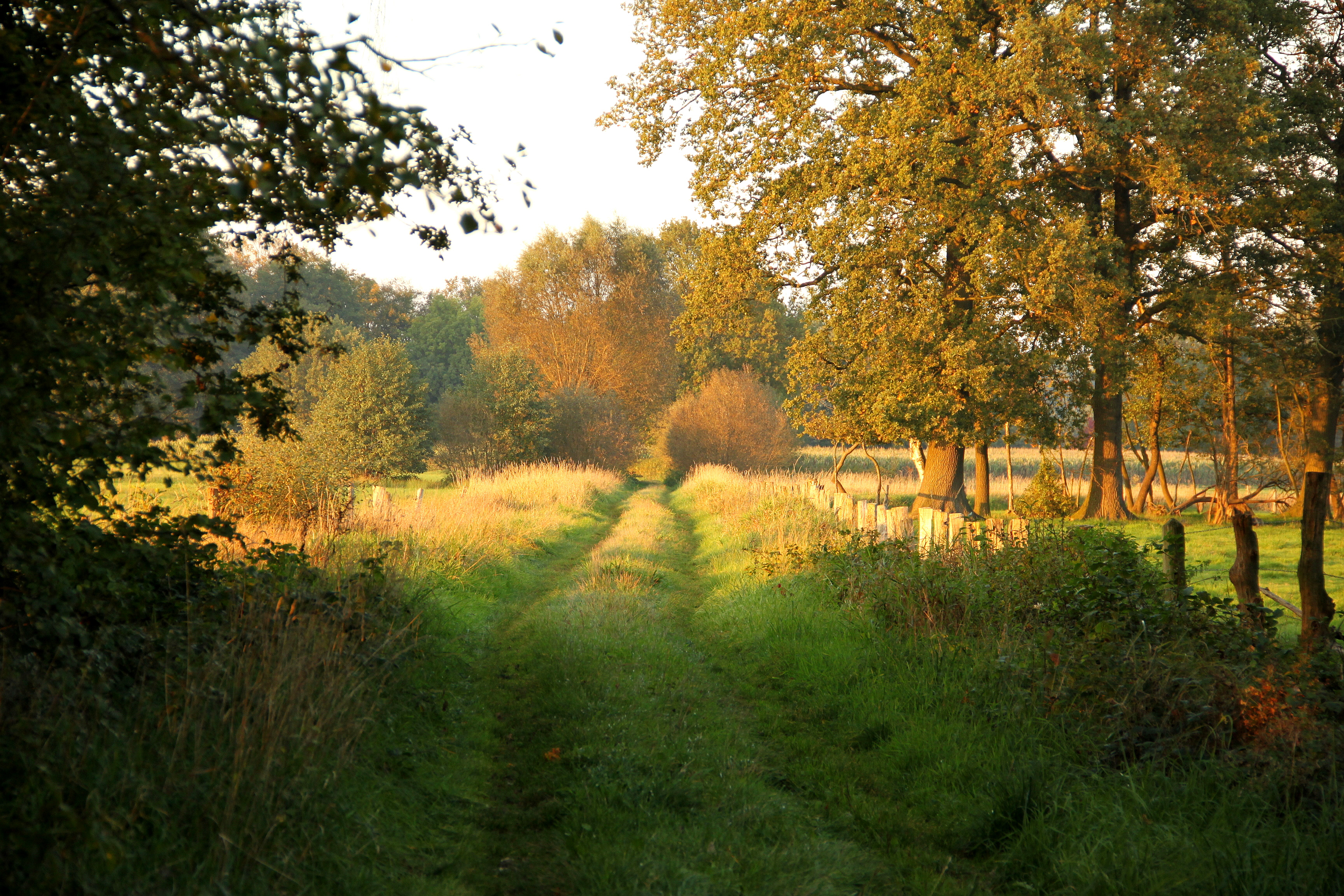 Aktiv-Wanderweg A 3