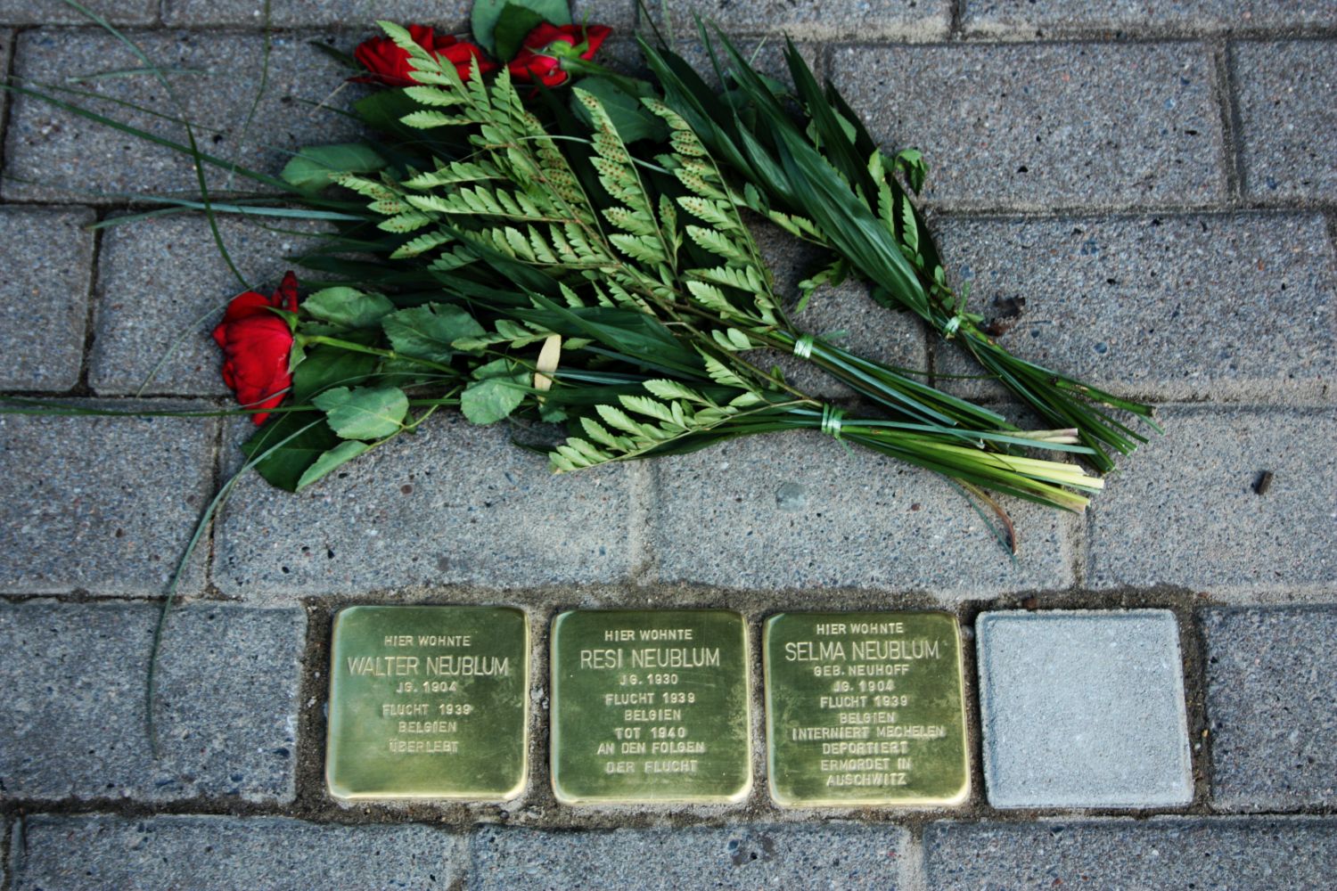 Stolpersteine   Stolpersteine Quakenbr Ck Jpg 