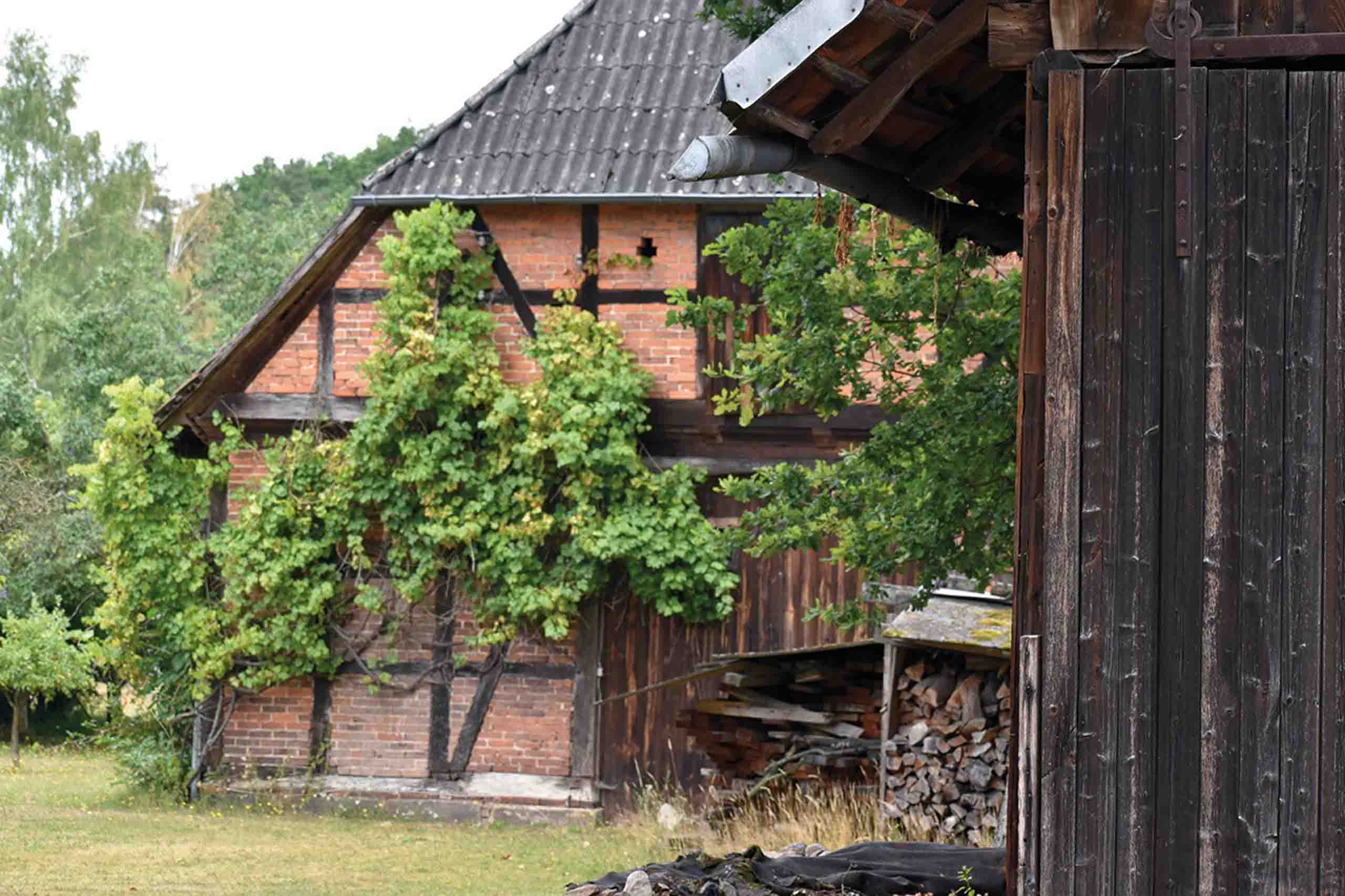 Prächtige, alte Bauernhäuser in Altencelle
