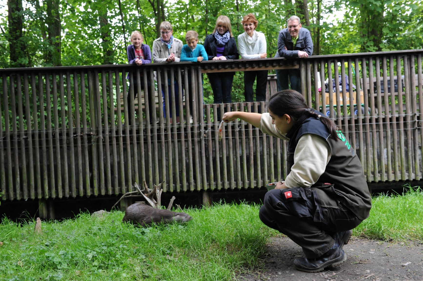 Fütterung im Otter-Zentrum