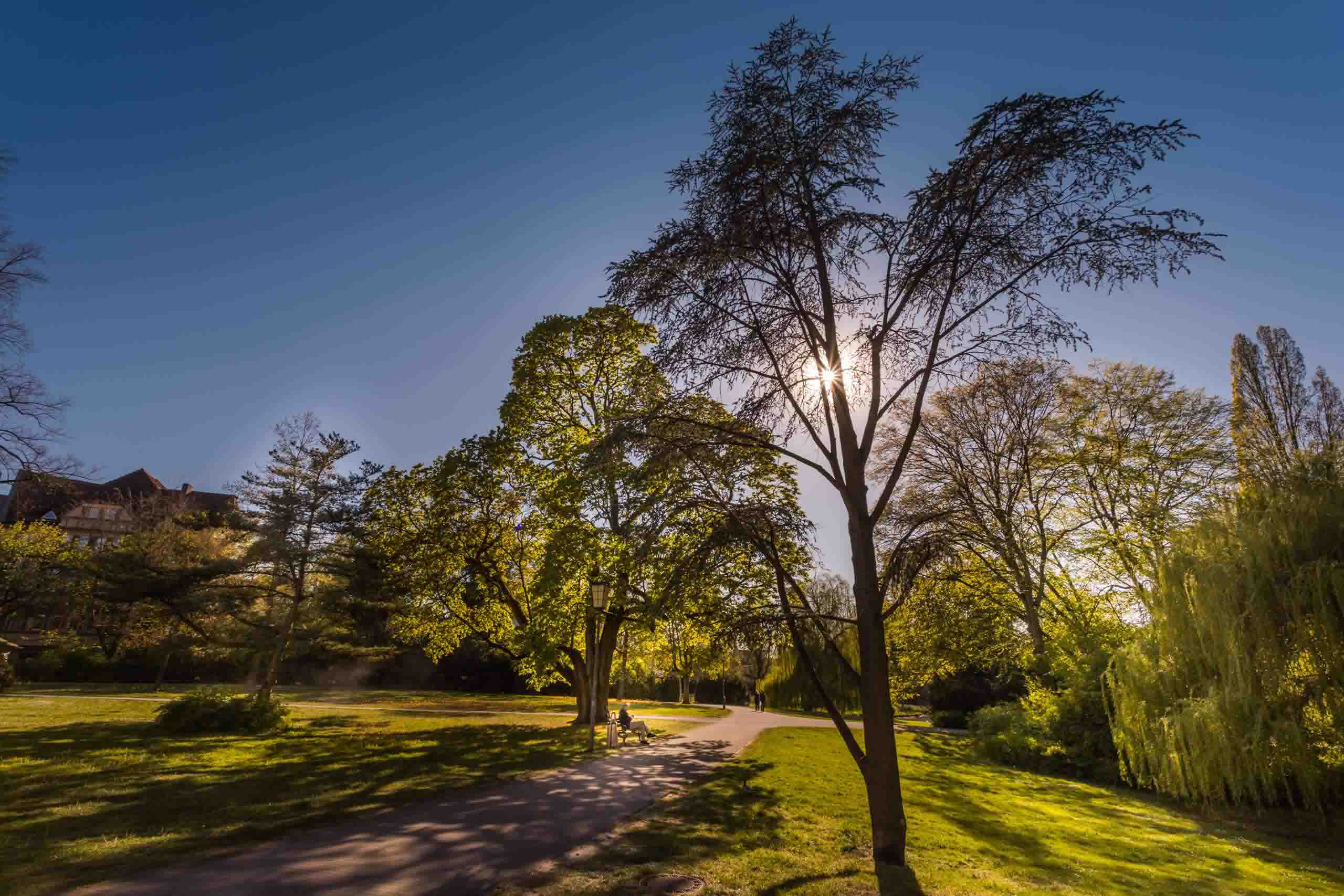 Celler Schlosspark