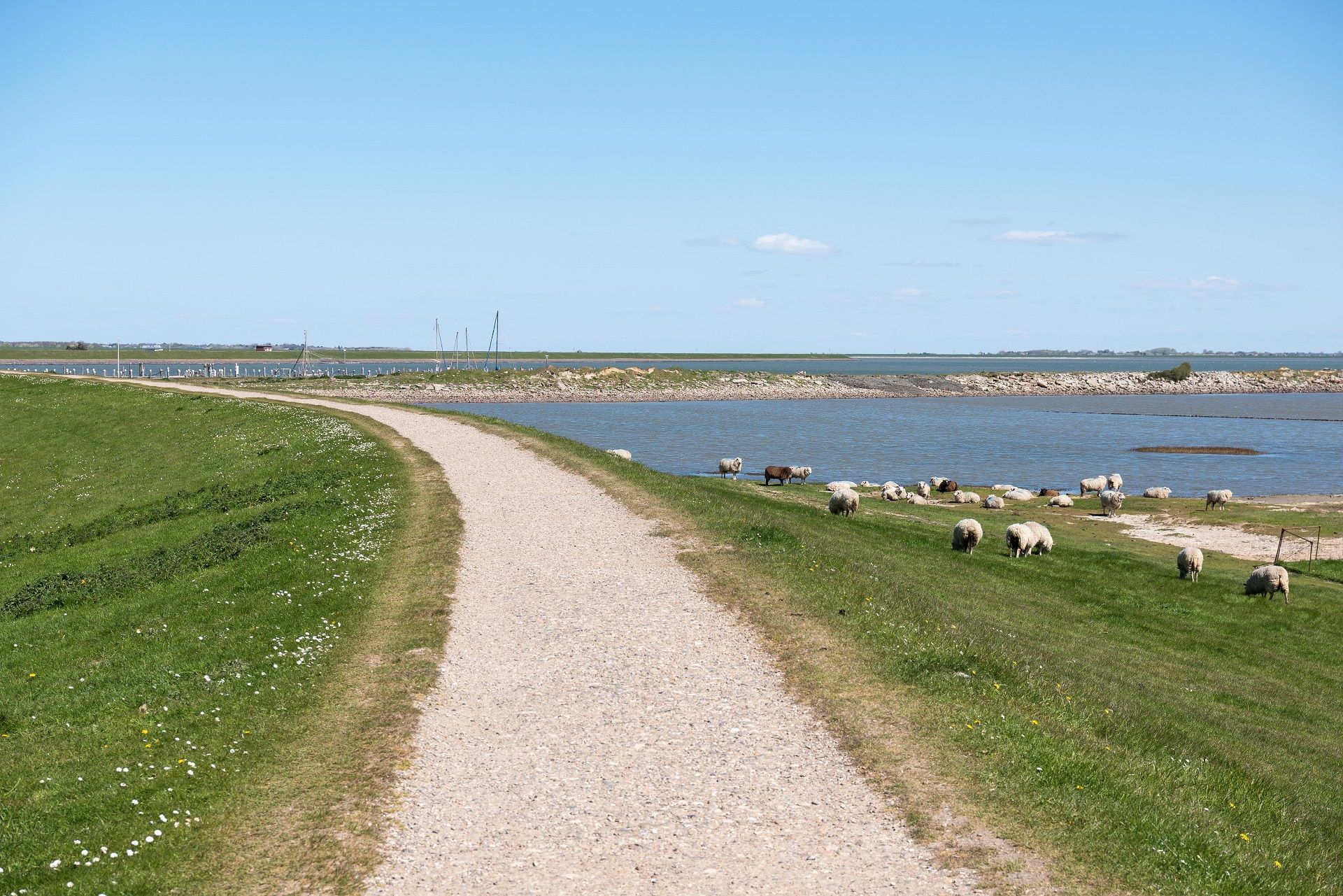 Pin auf champagne Rantumbecken