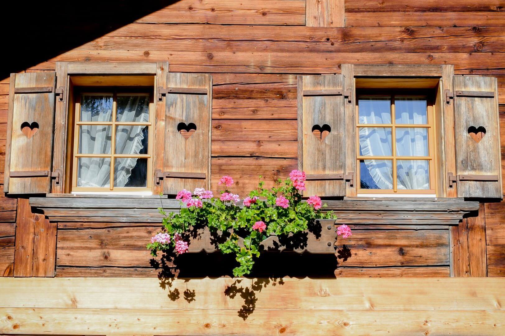 Window front with geraniums