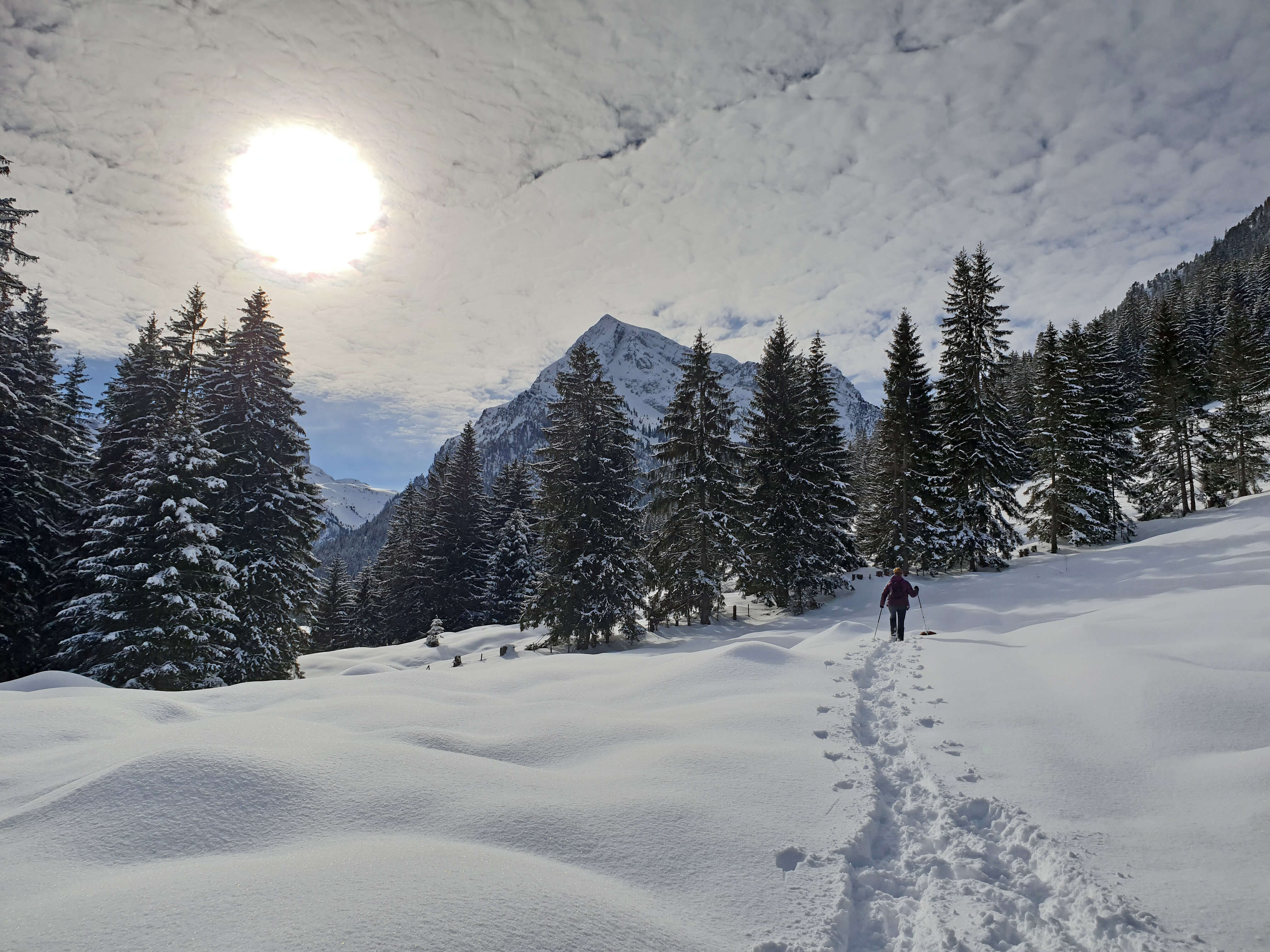 Snowshoe hiking in Schwenden in the Diemtigtal Nature Park