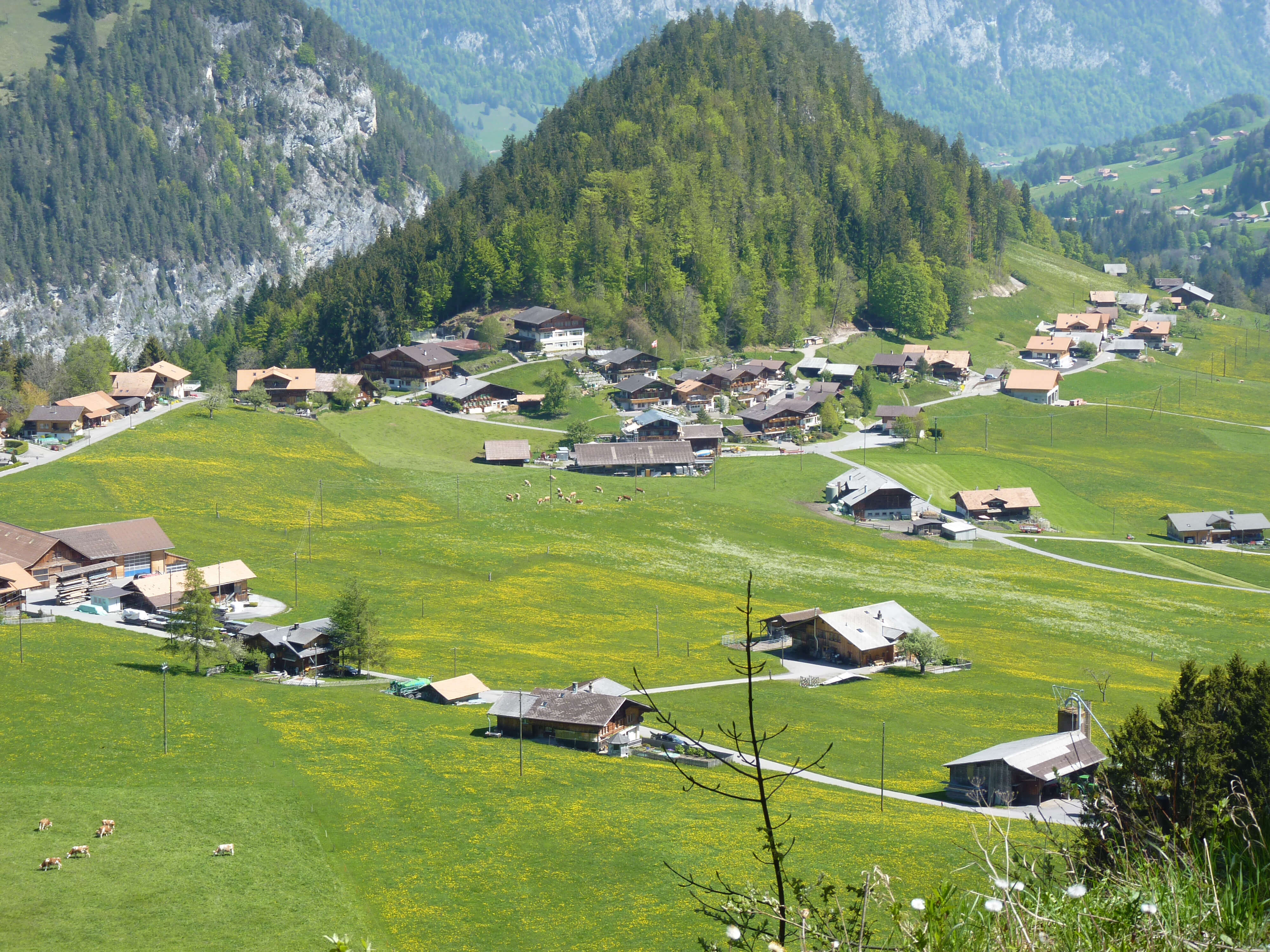 «Entschwil» village in Summer
