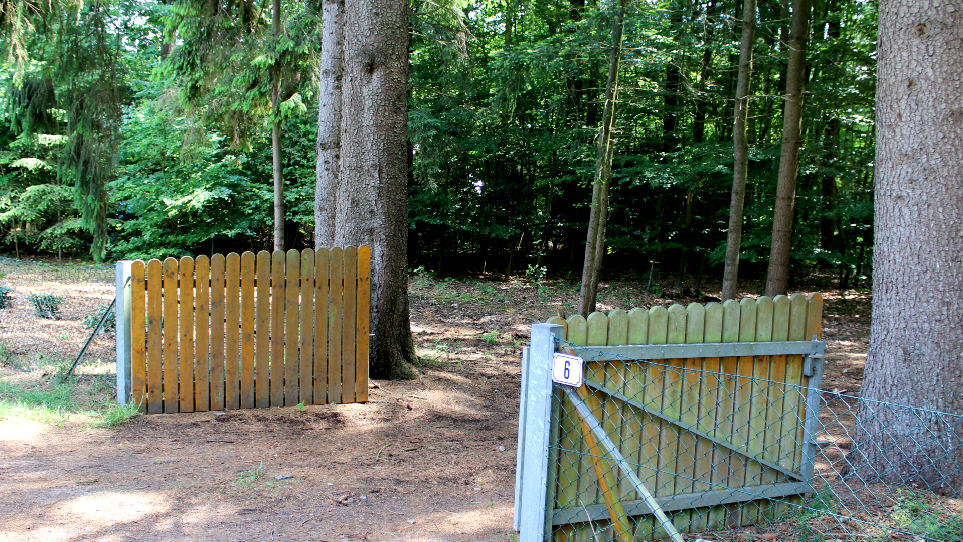 Hofeinfahrt zum Waldhaus Bellen