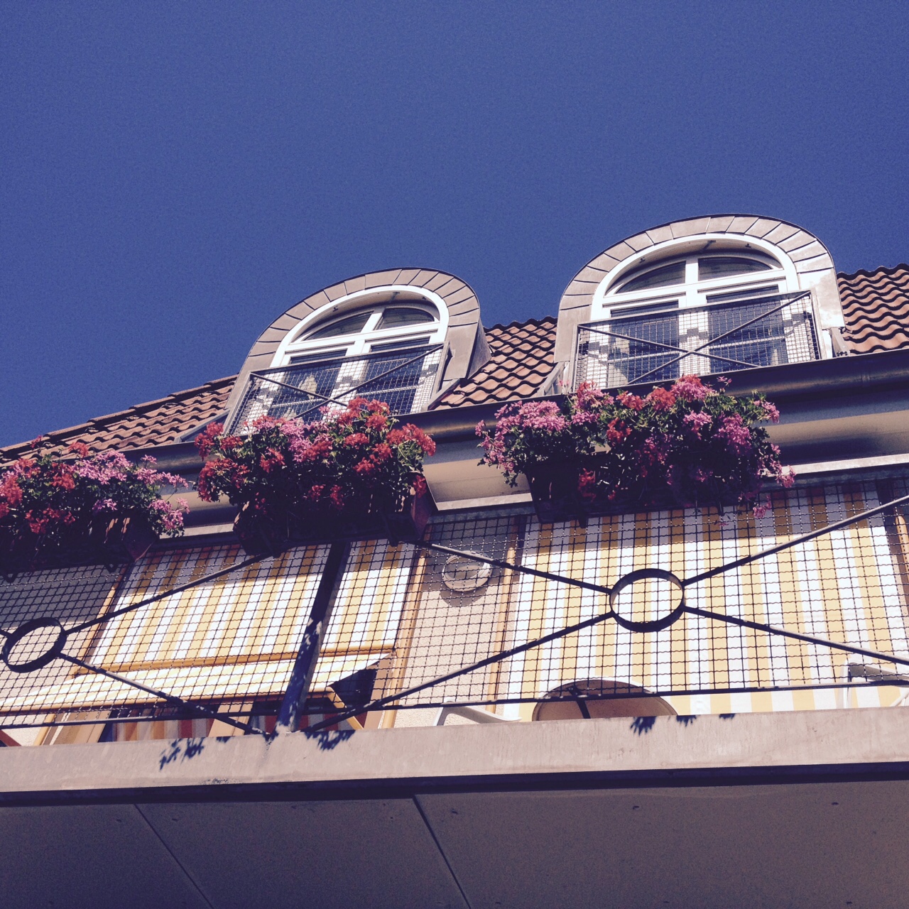 Parkhotel Flora in Bad Grund - Markise