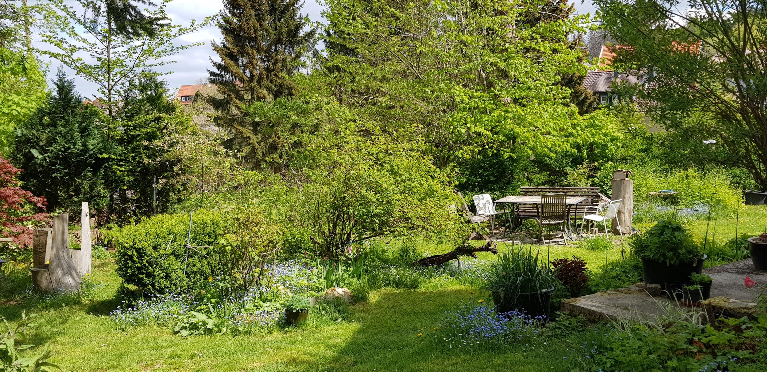 Ferienwohnungen Trollblume und Schlüsselblume in Hohegeiß - Garten