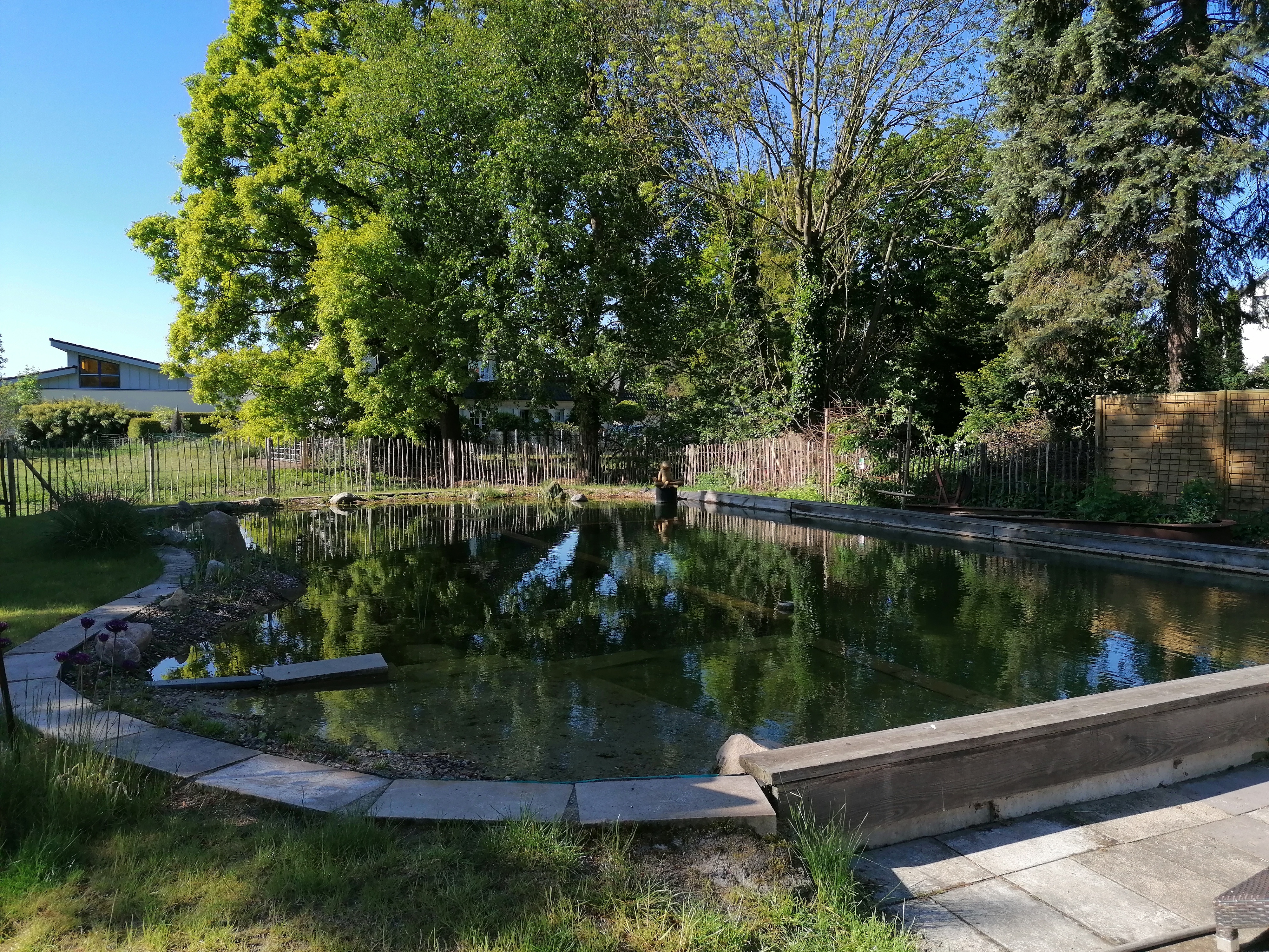 Schwimmteich im Garten des Gästezimmers Lebensart e.V.