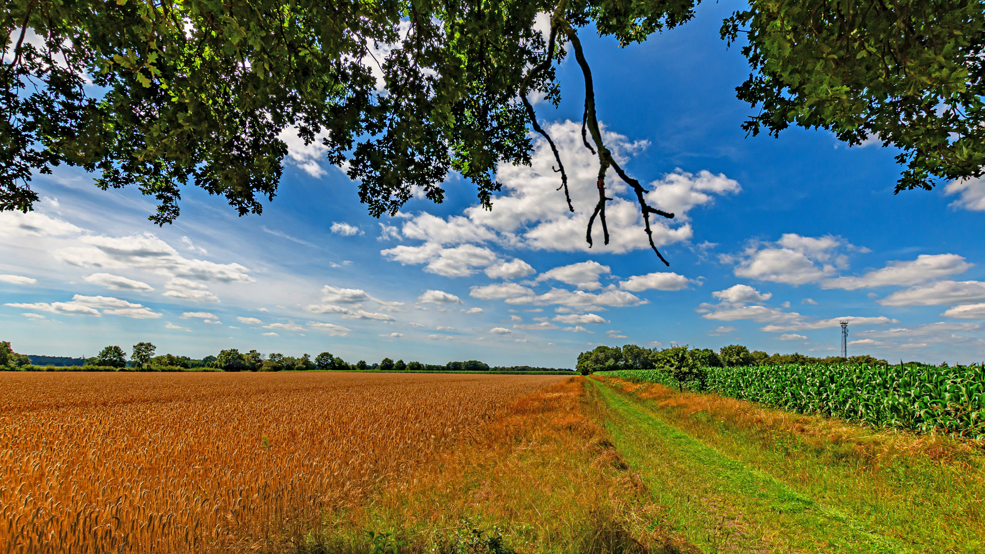 ORTSWEG Rund um Mulmshorn