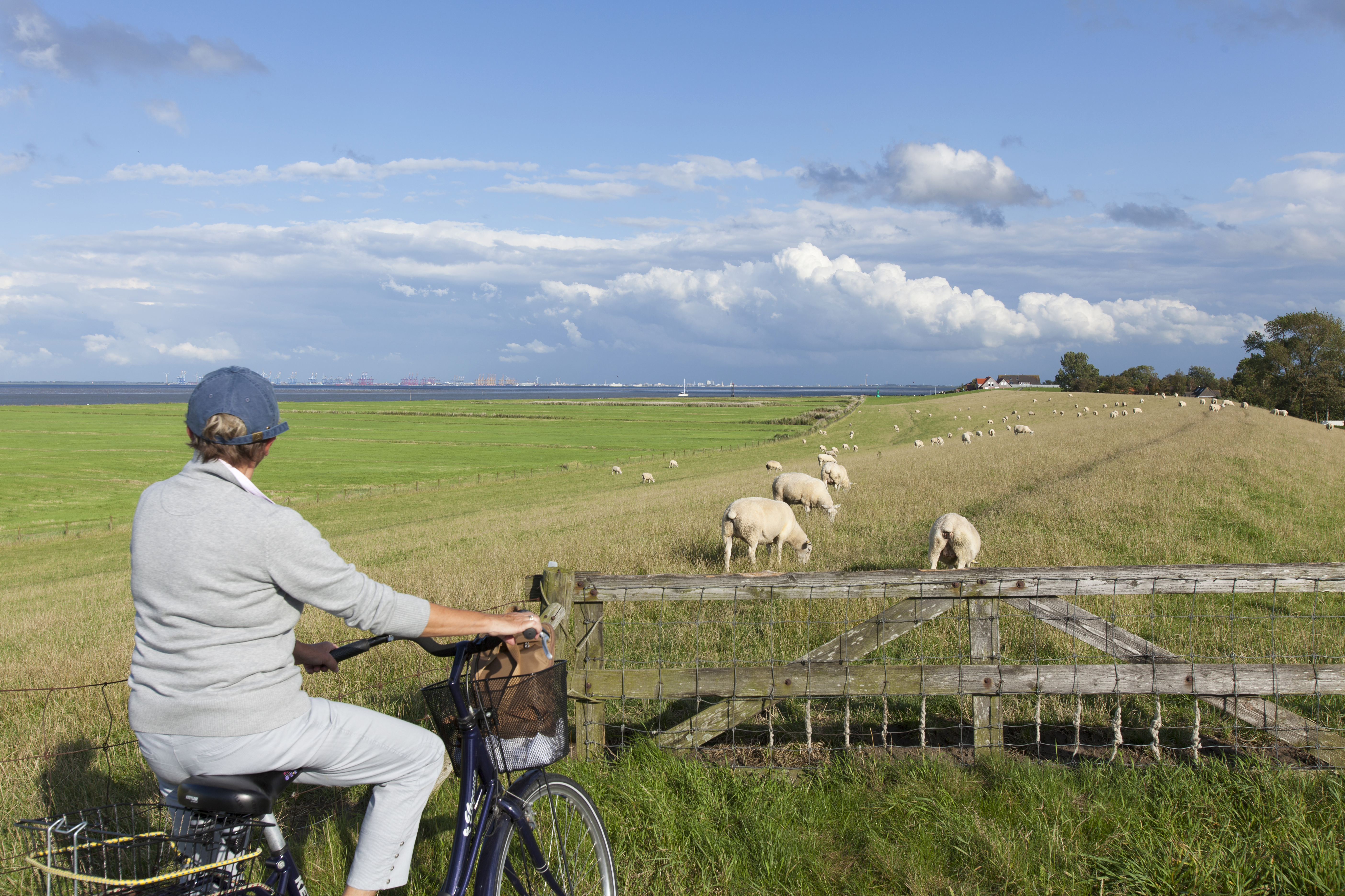 TOUR 07 - von Tossens nach Roddens