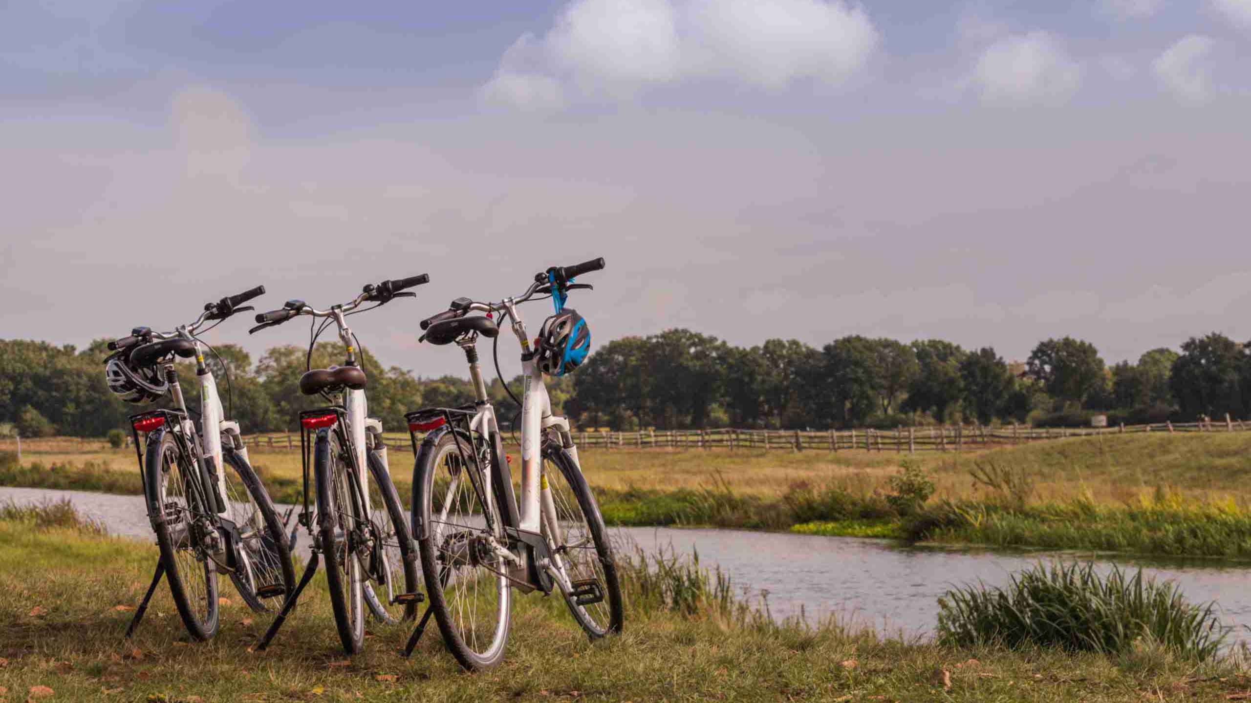 Bicycles on the banks of the Aller
