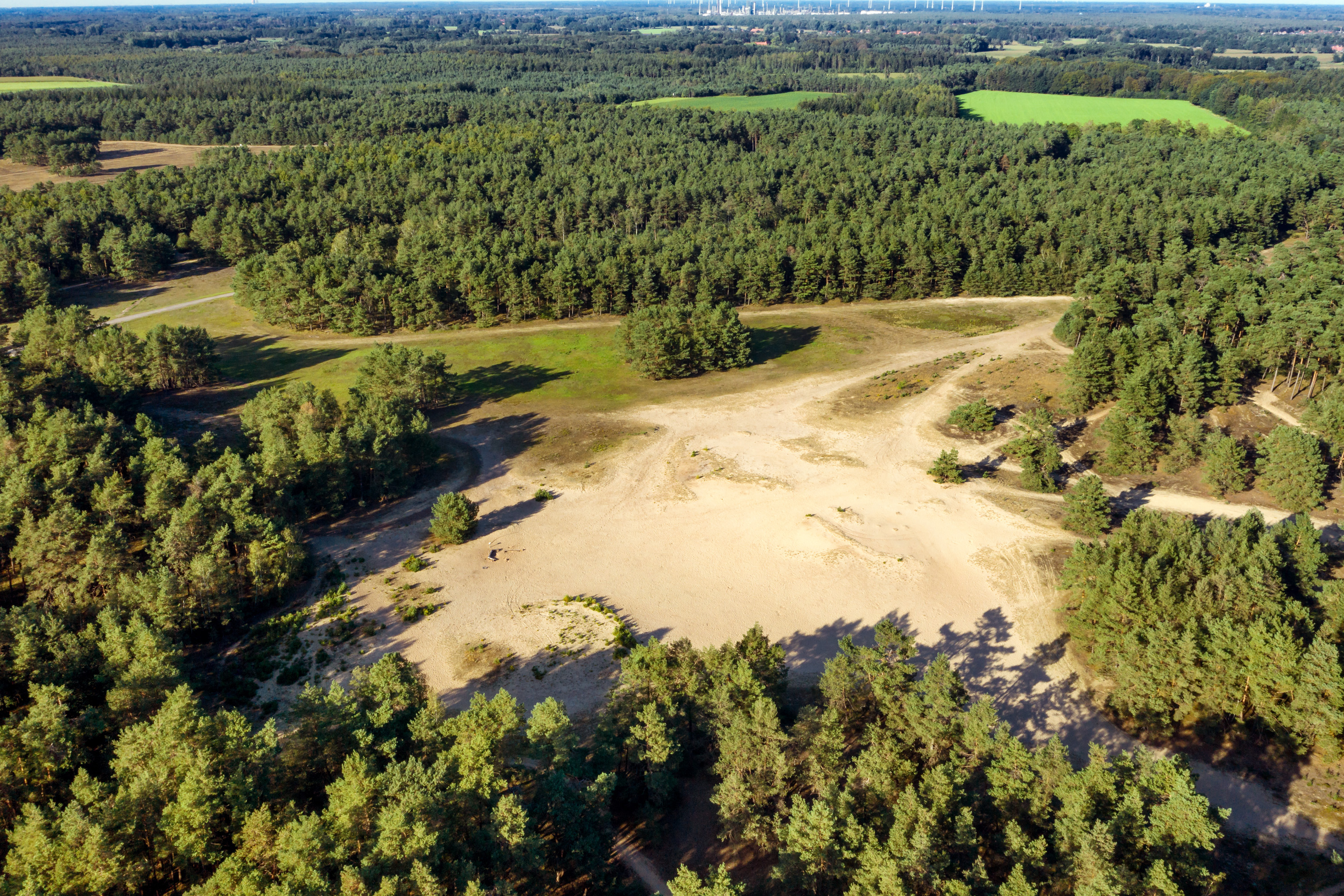 Lohne (Oldenburg)