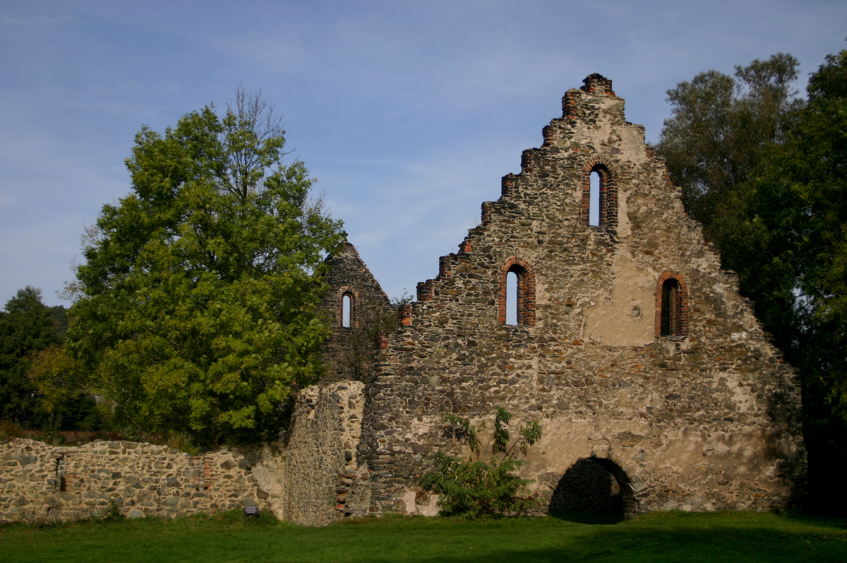 Picture of Altzella Abbey