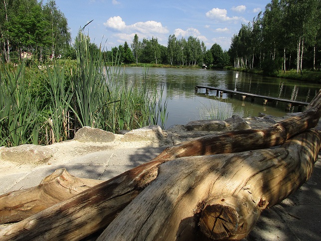 Bürgerpark Bergen – Motiv