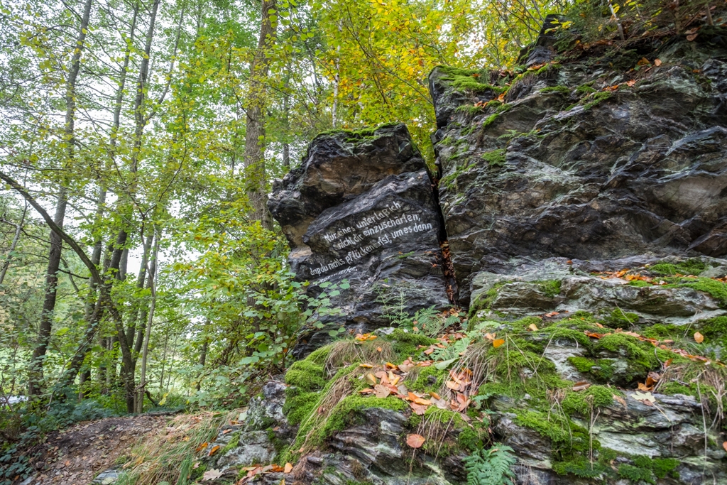 Vogtland Panorama Weg® – Etappe 11 (Vogelsgrün – Lengenfeld) – Motiv