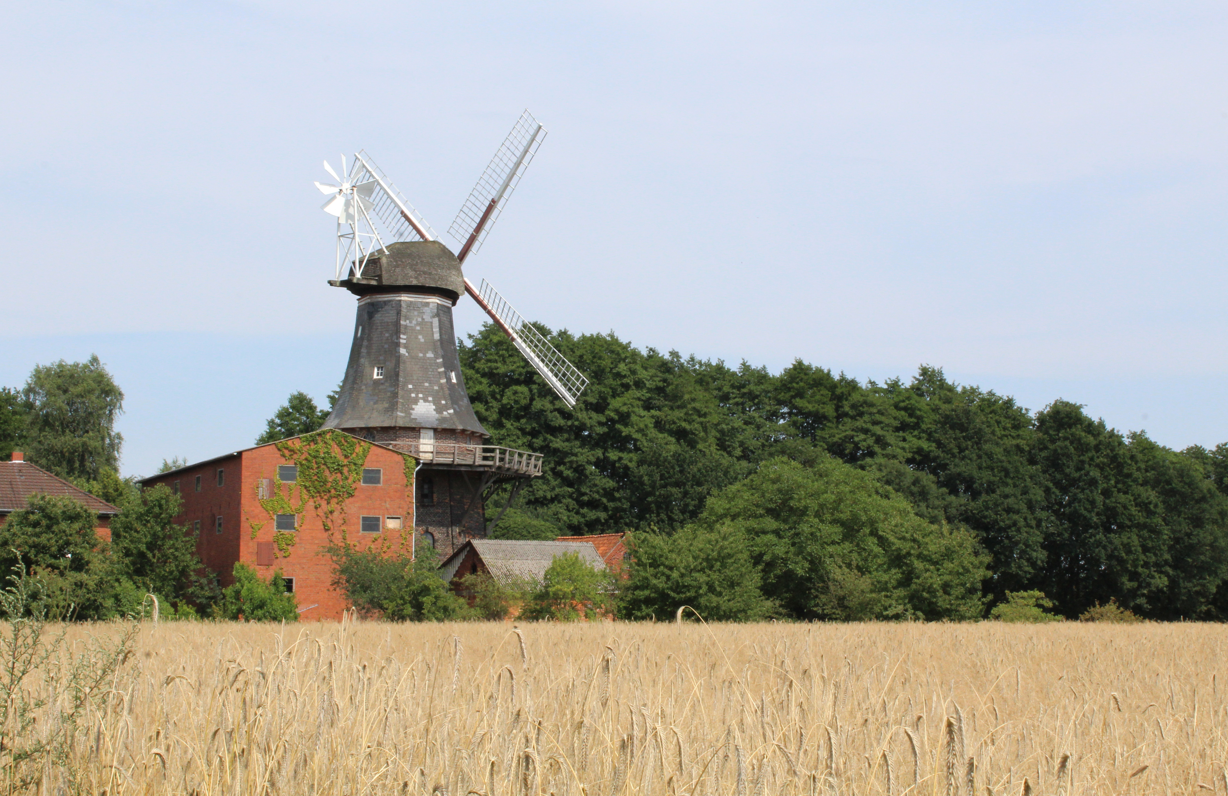 Windmühle Hoyerhagen