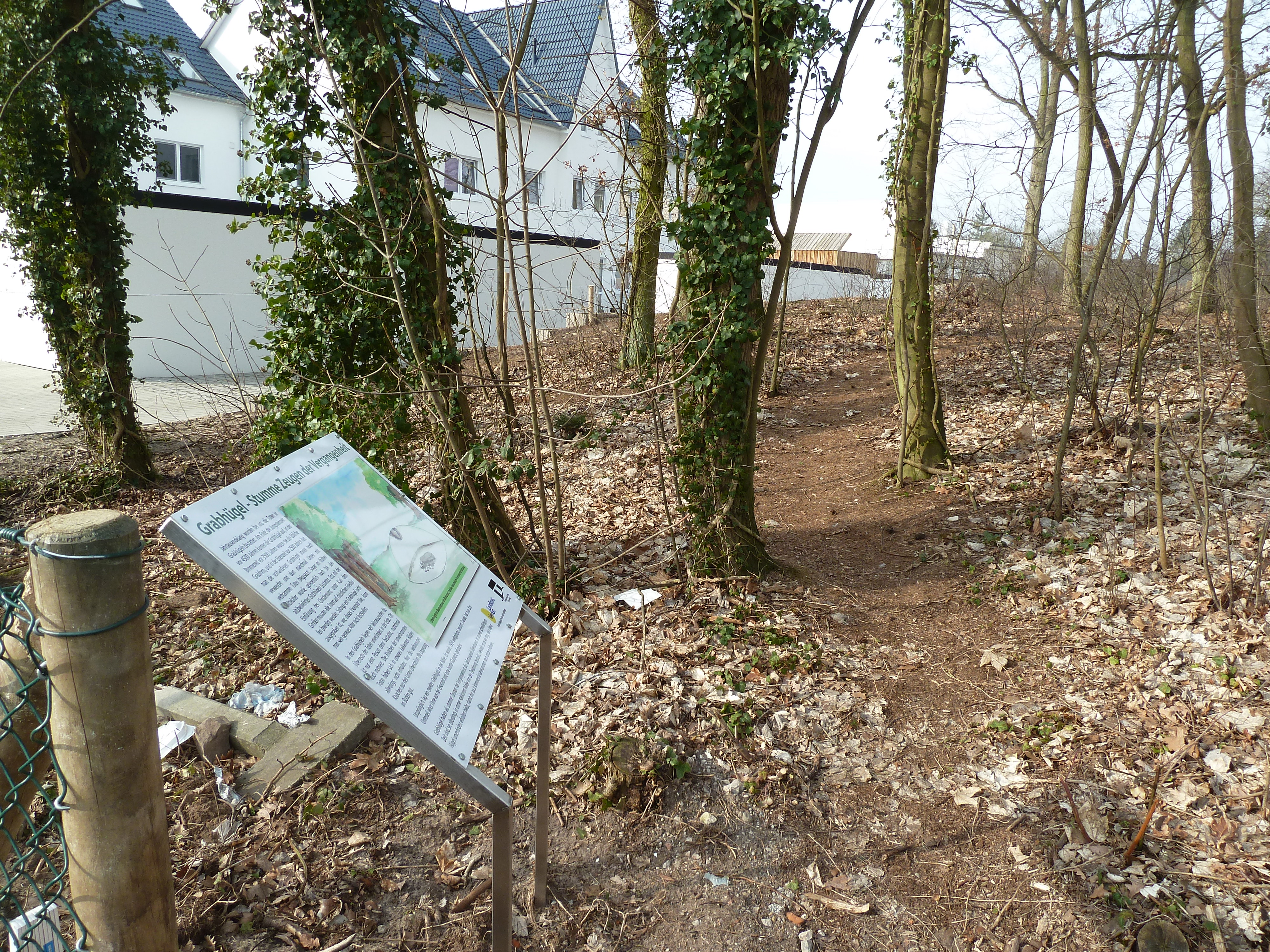 Hügelgrab in Baden