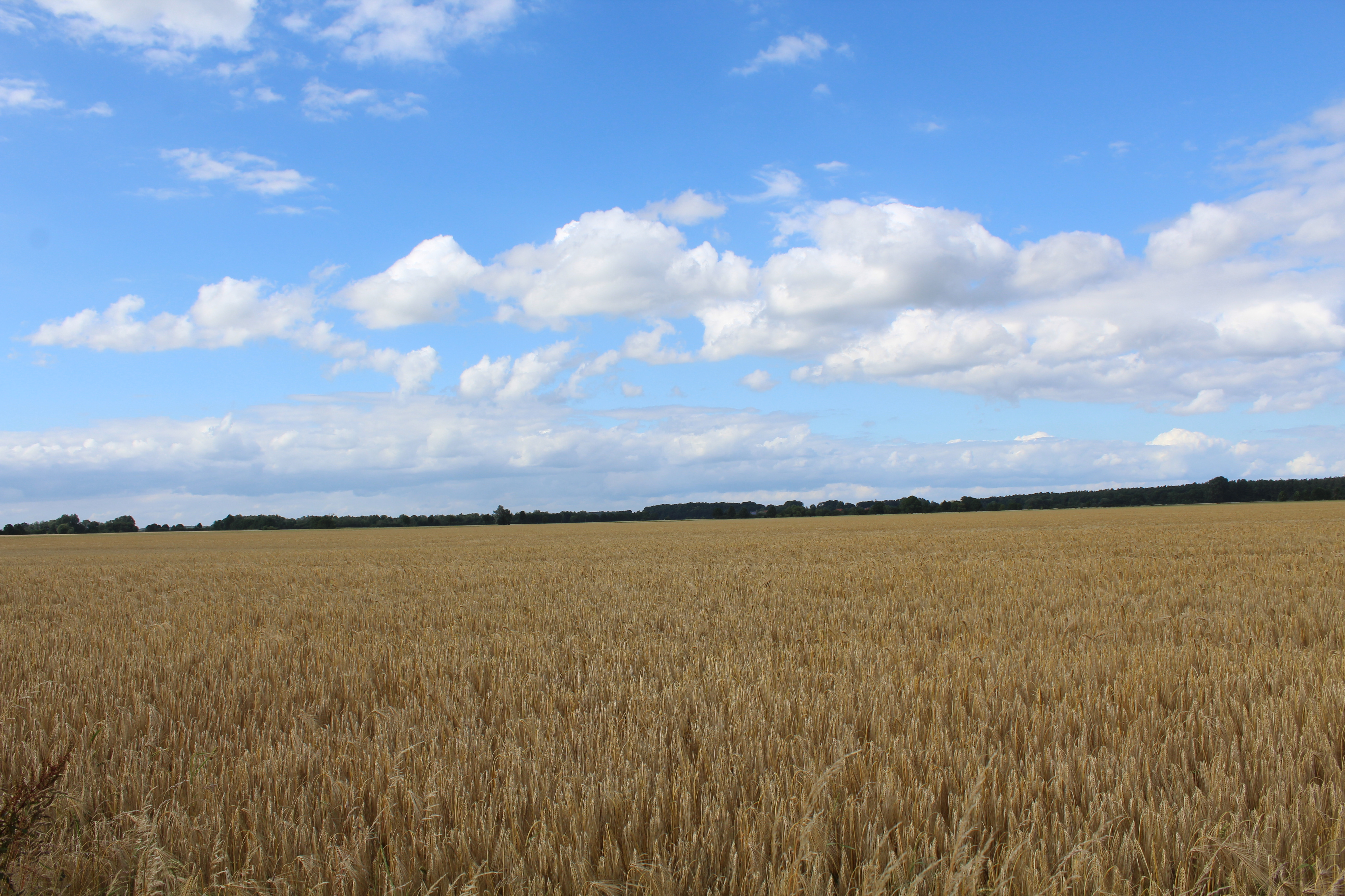 Natur pur (Tourenname)