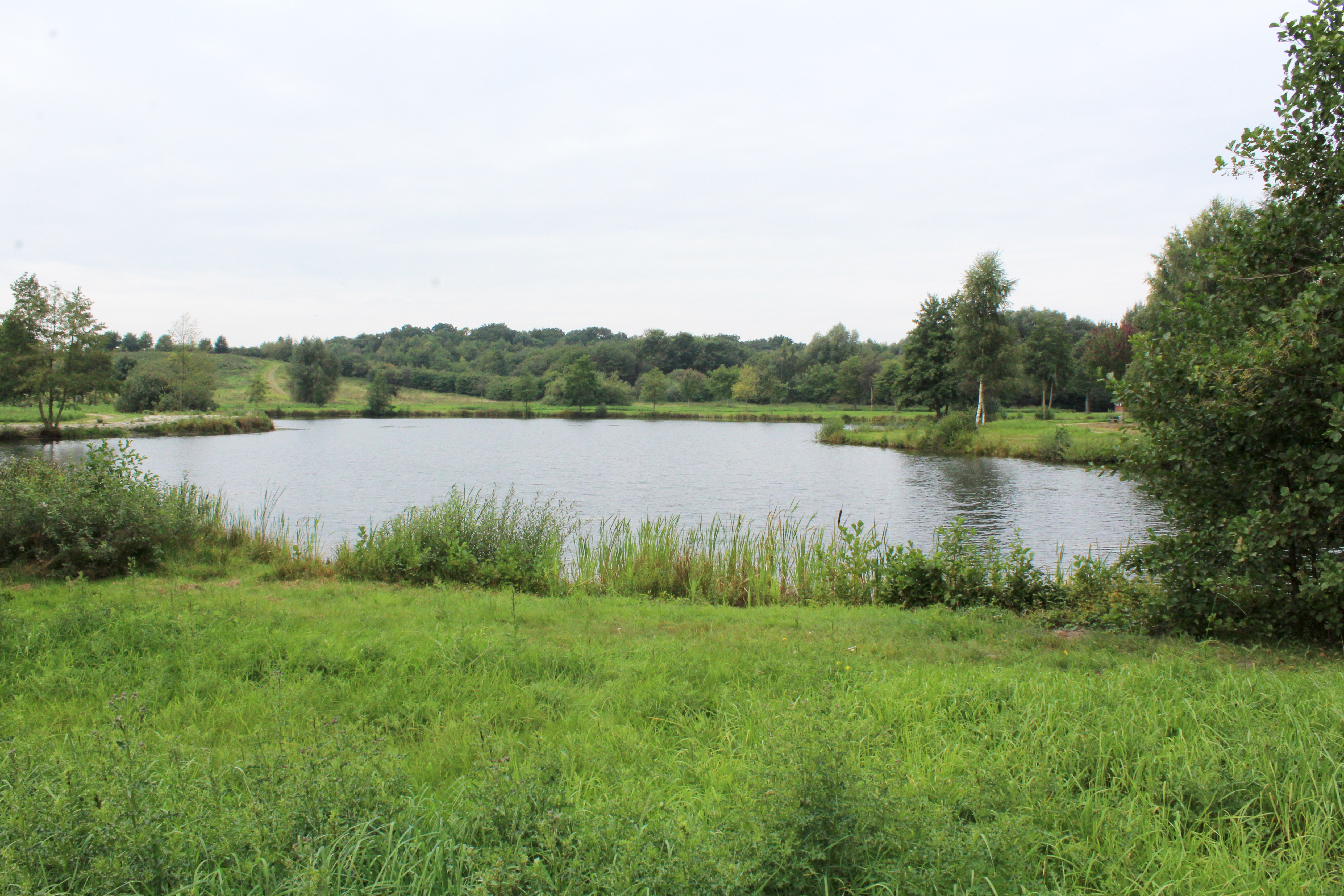 Landschaftssee Uchte mit Rodelberg