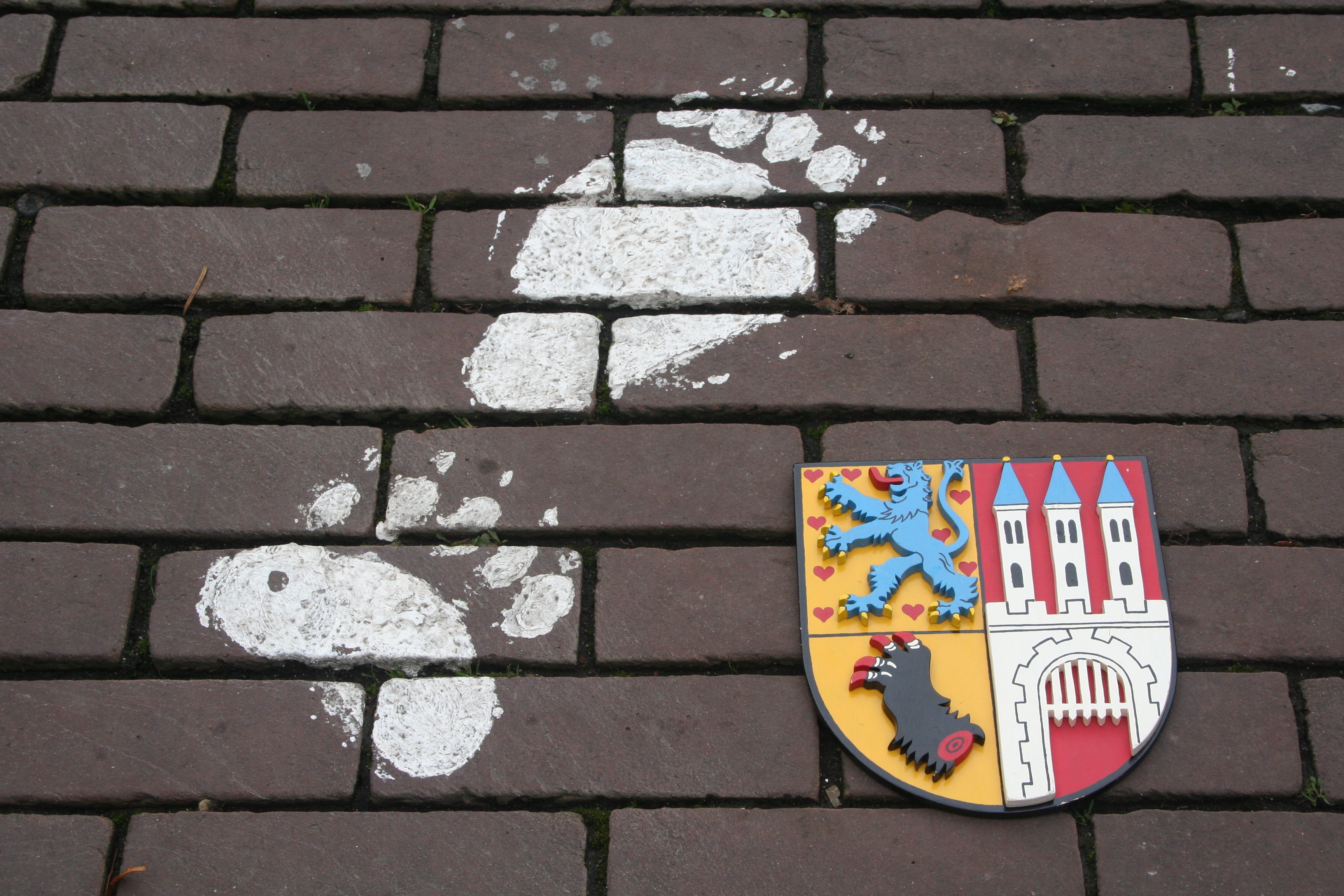 Rundgang auf der Nienburger Bärenspur - Klassische Stadtführung