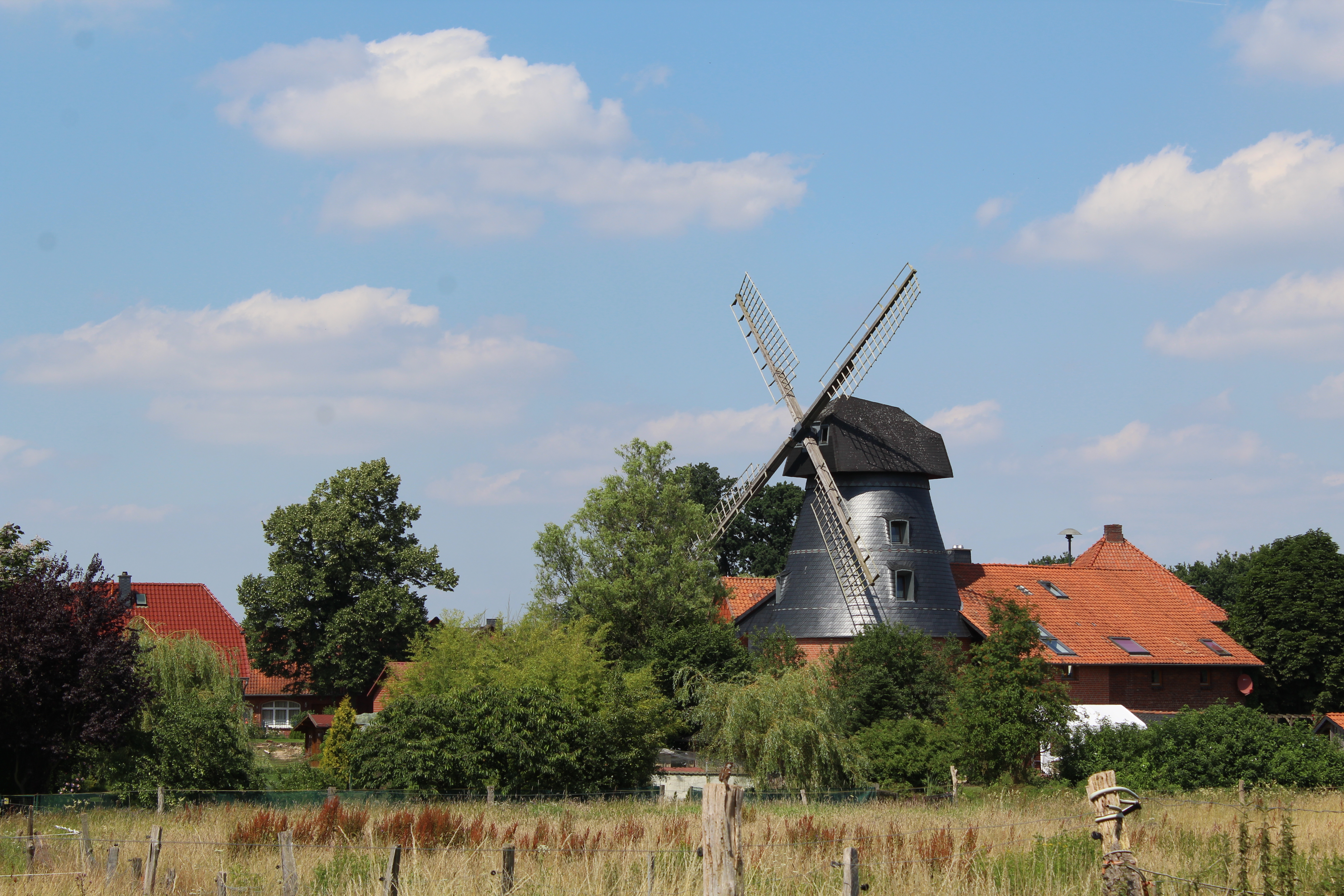 Loccumer Windmühle