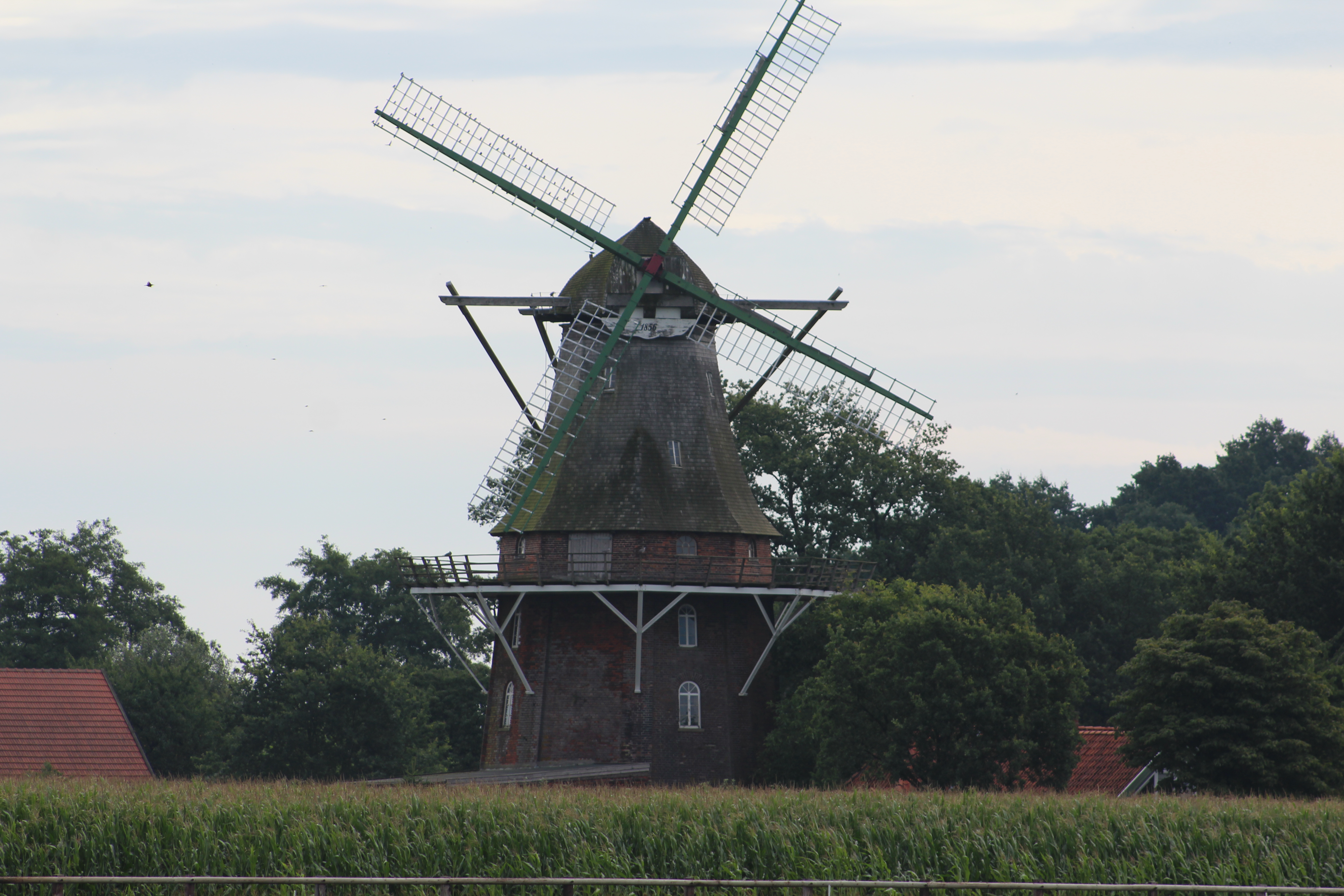 Sprakener Windmühle Schwarme