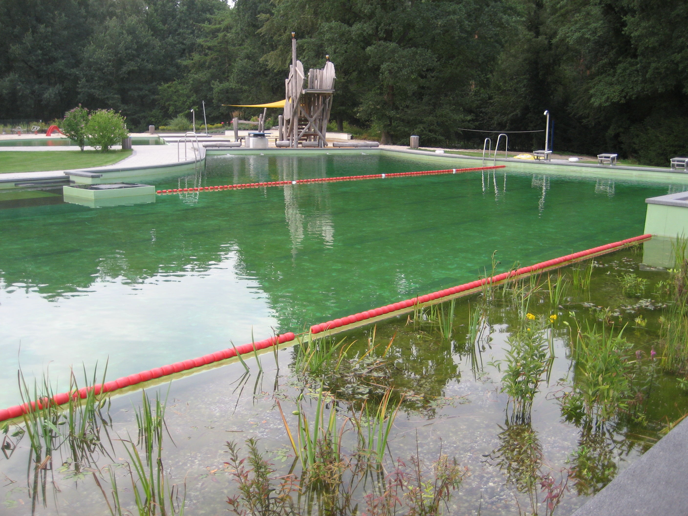 NaturWaldBad Steimbke