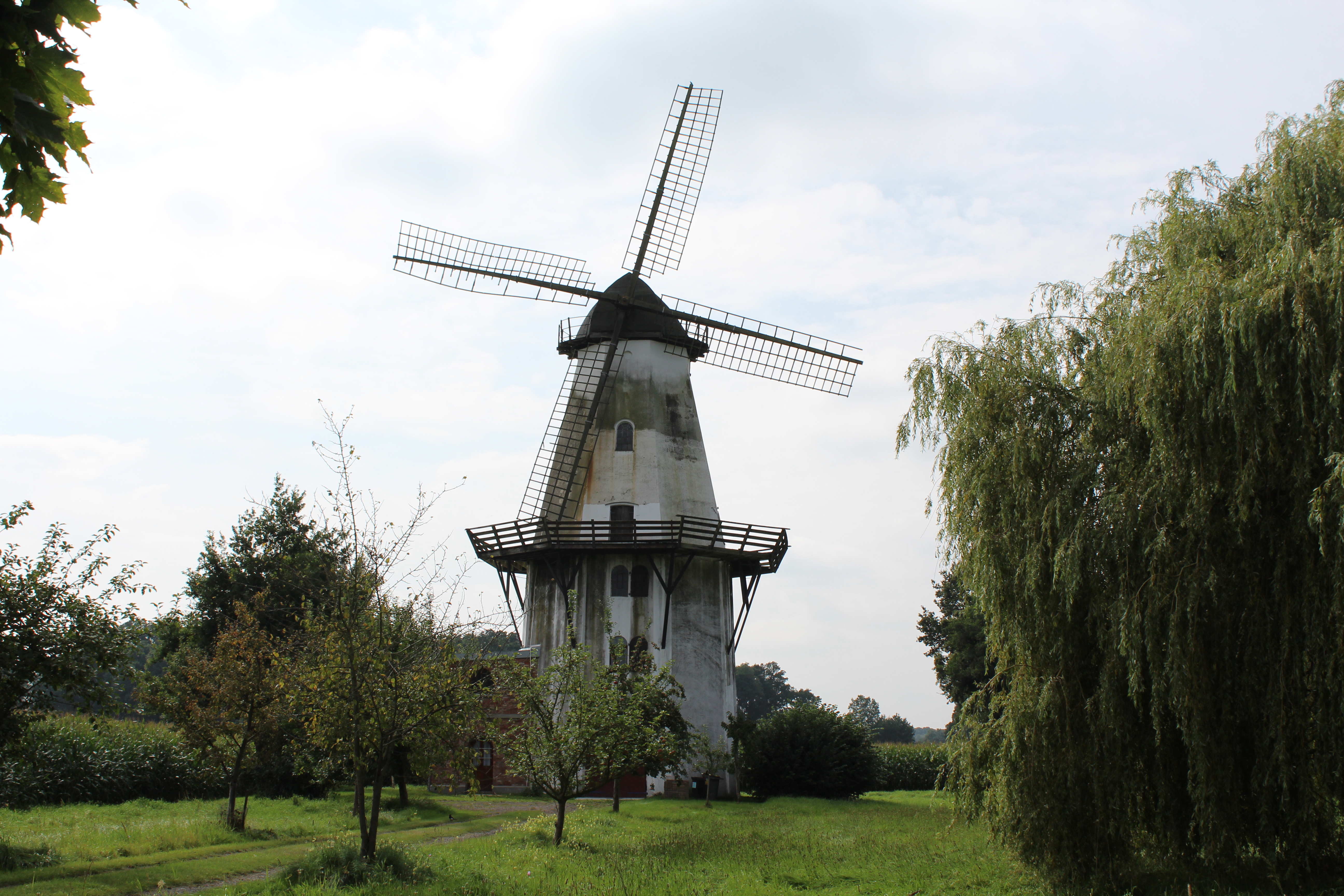 Windmühle Lavelsloh