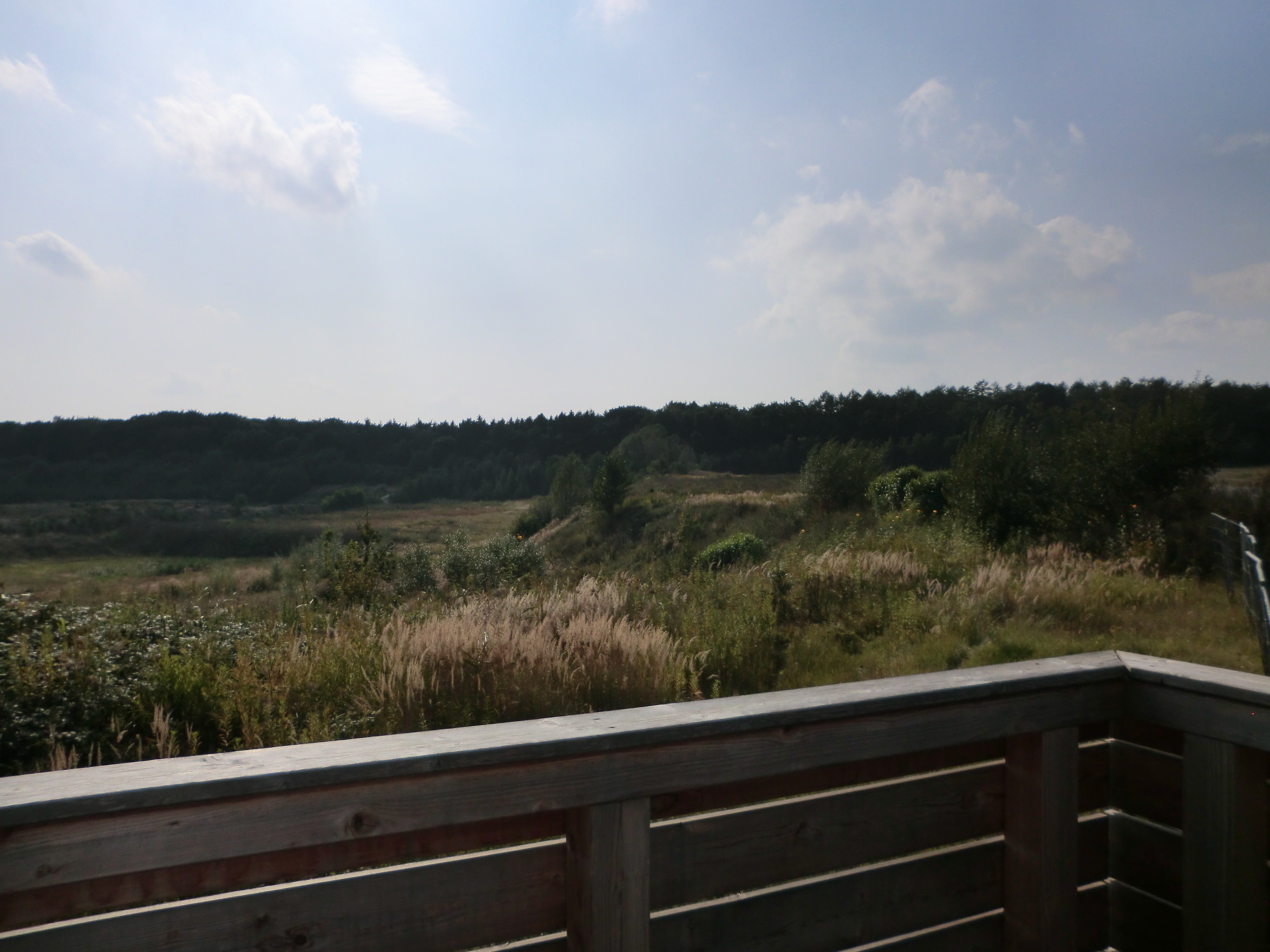 Schatzgrube Weißenberg