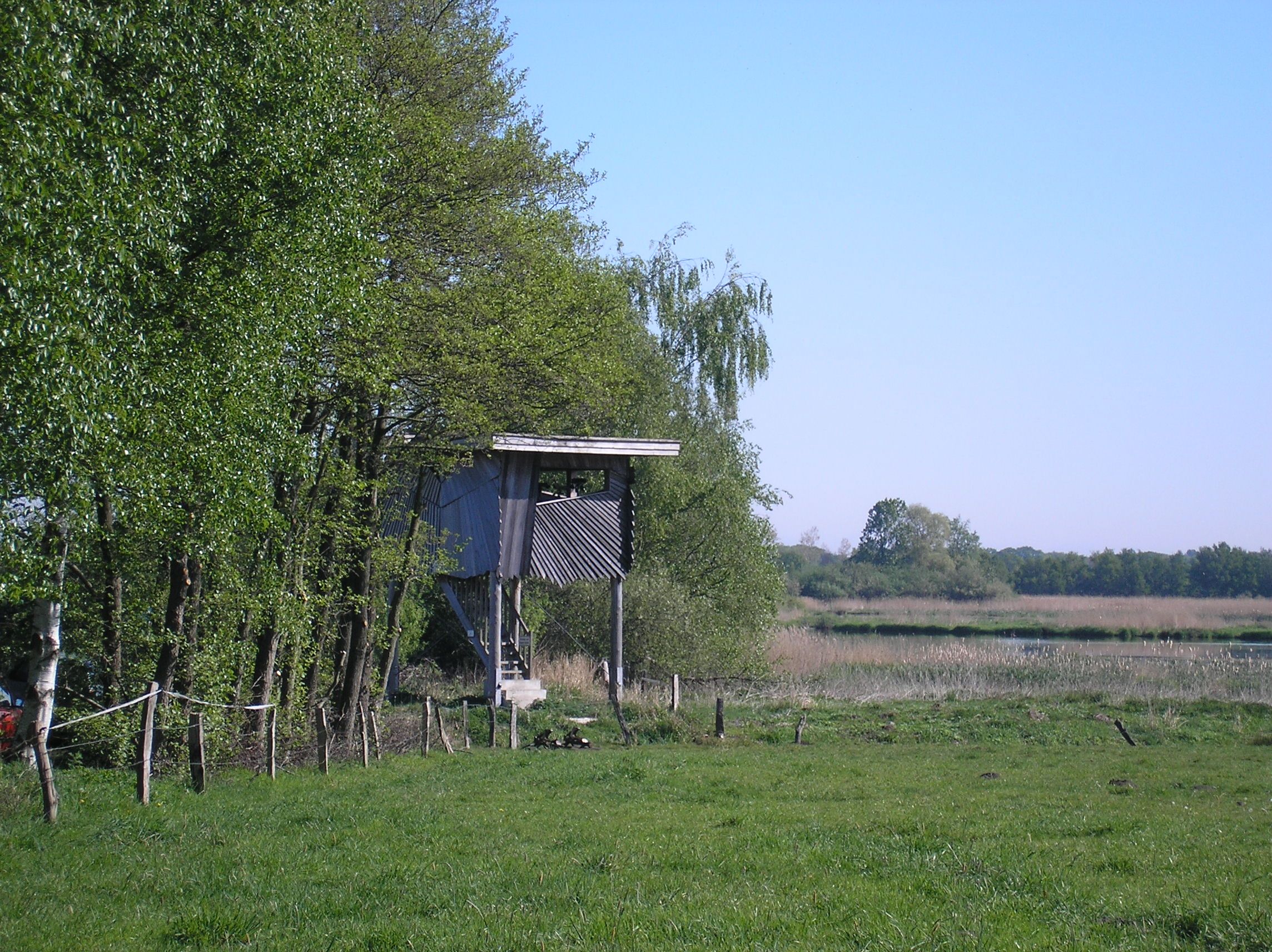 Feuchtgebiet Polder Bramel
