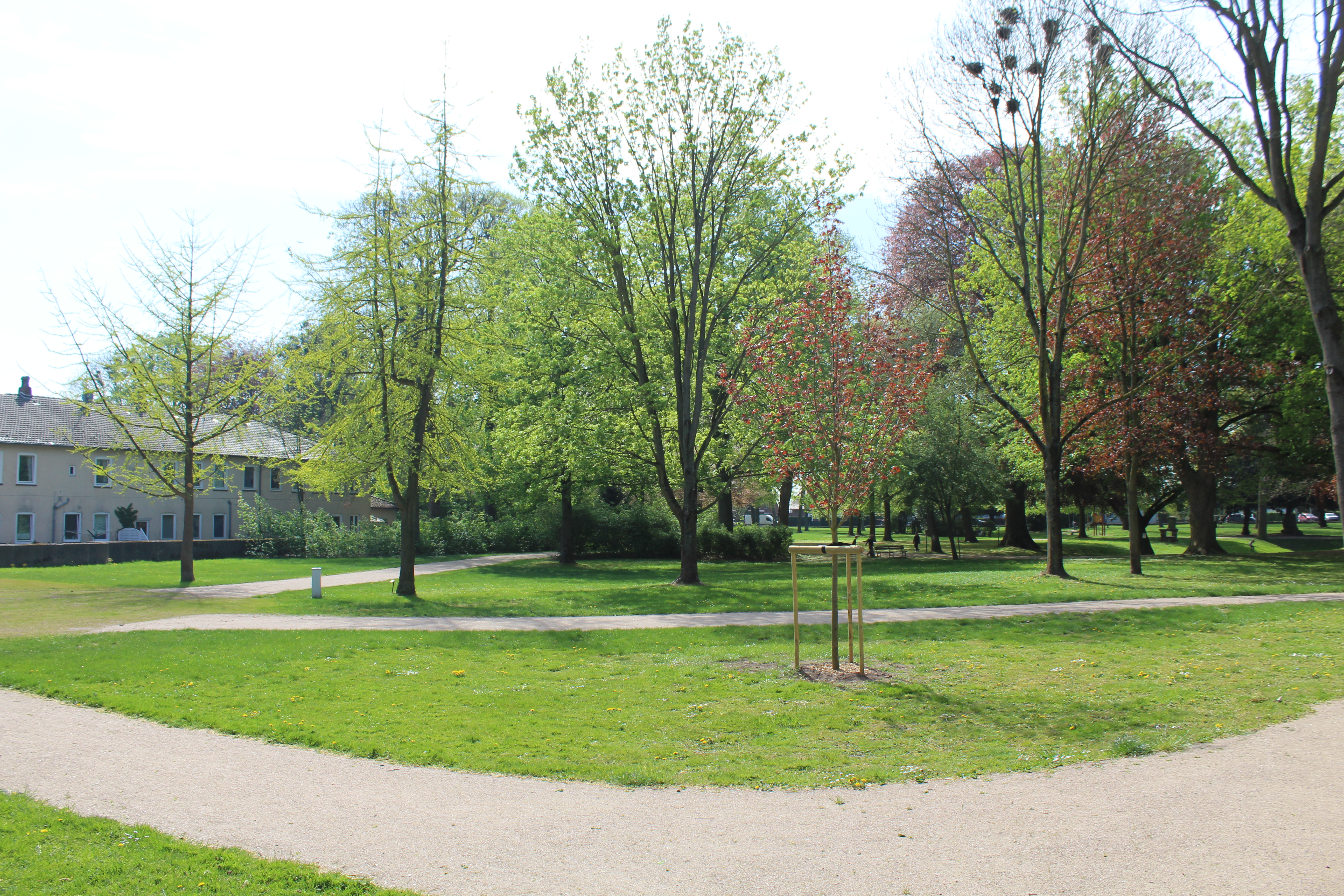 Bürgerpark Hoya