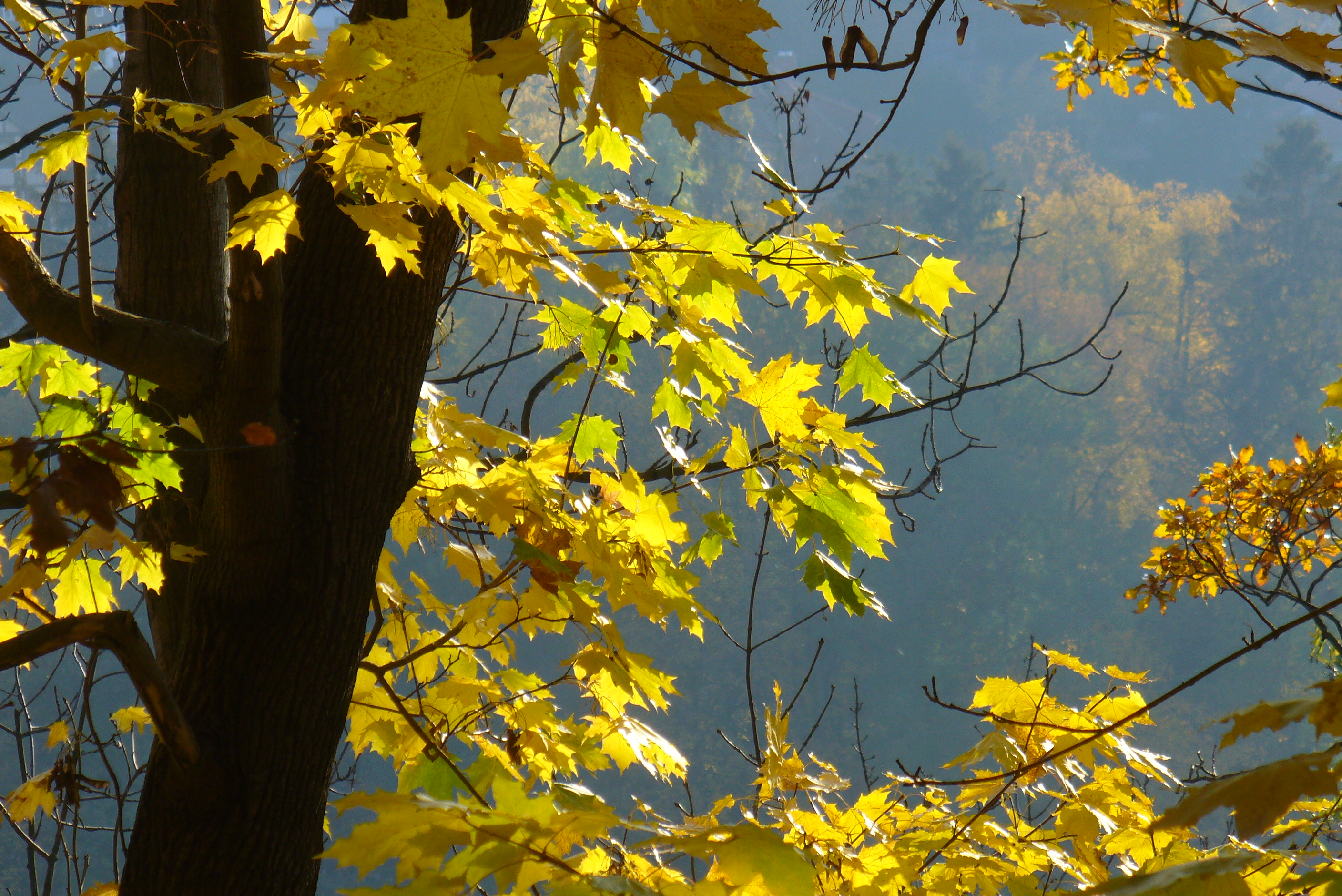 Naturpark Elm Lappwald - Höhenzug