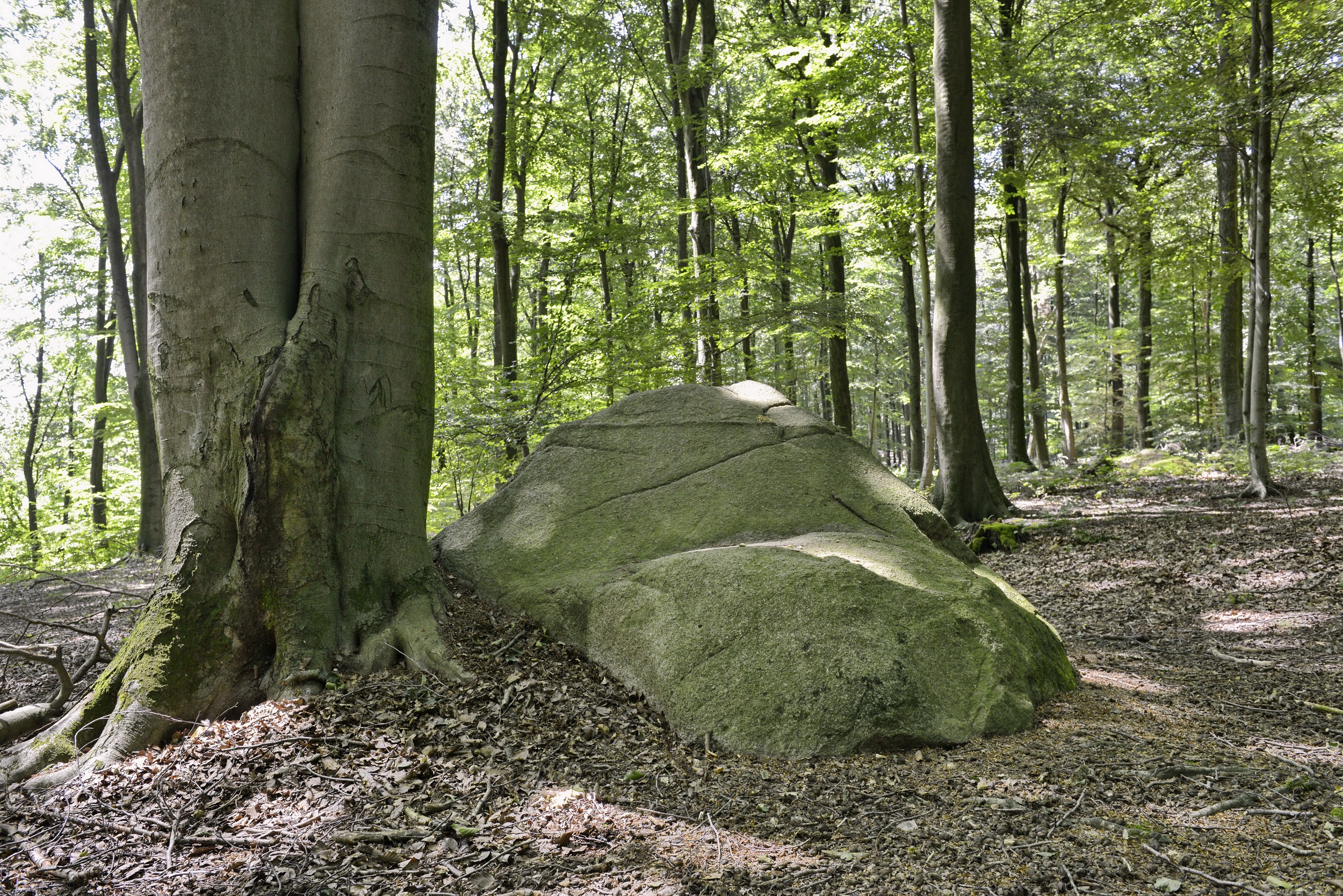 TERRA.track Gattberg