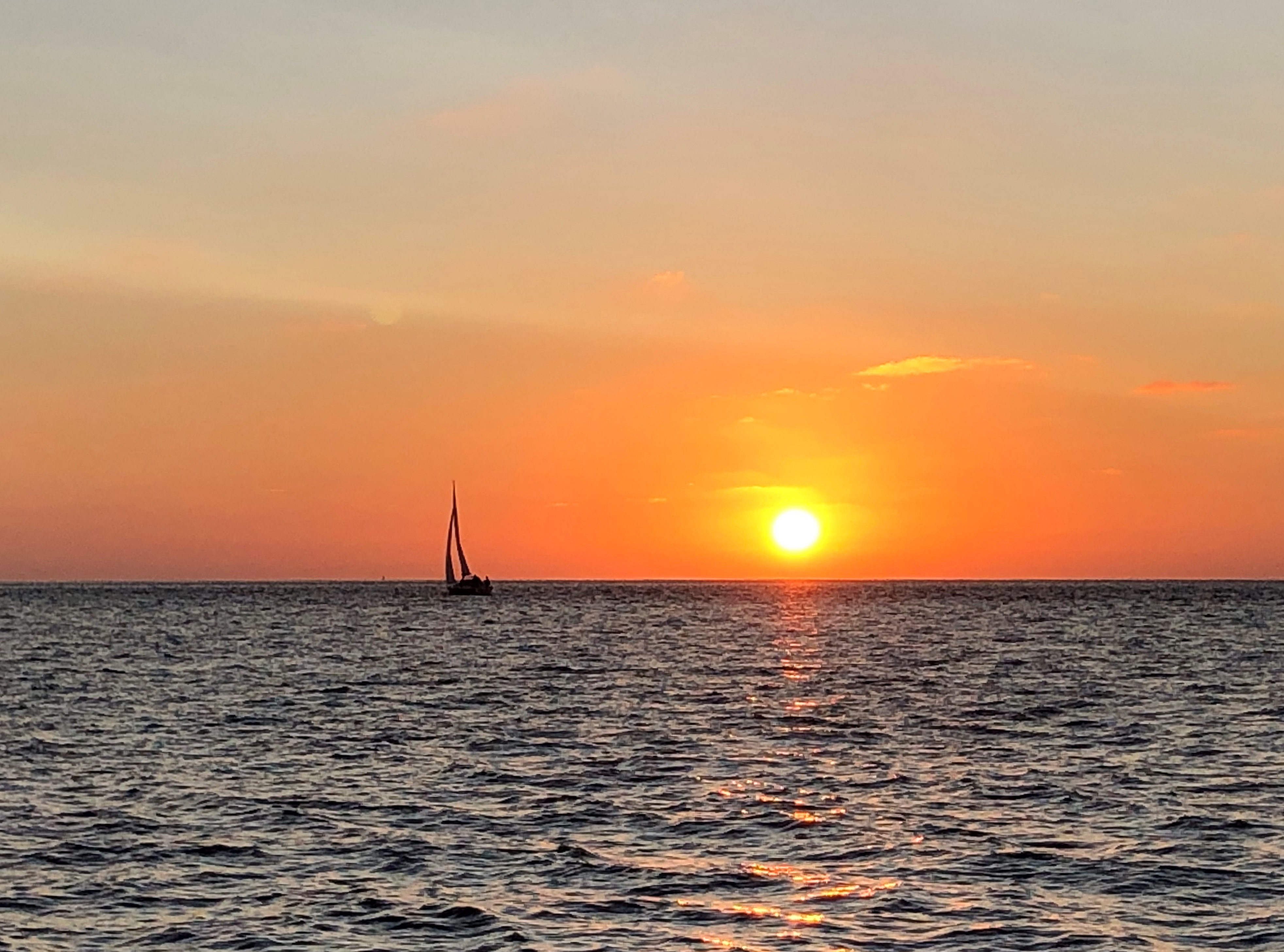 Wasserwelt Wattenmeer
