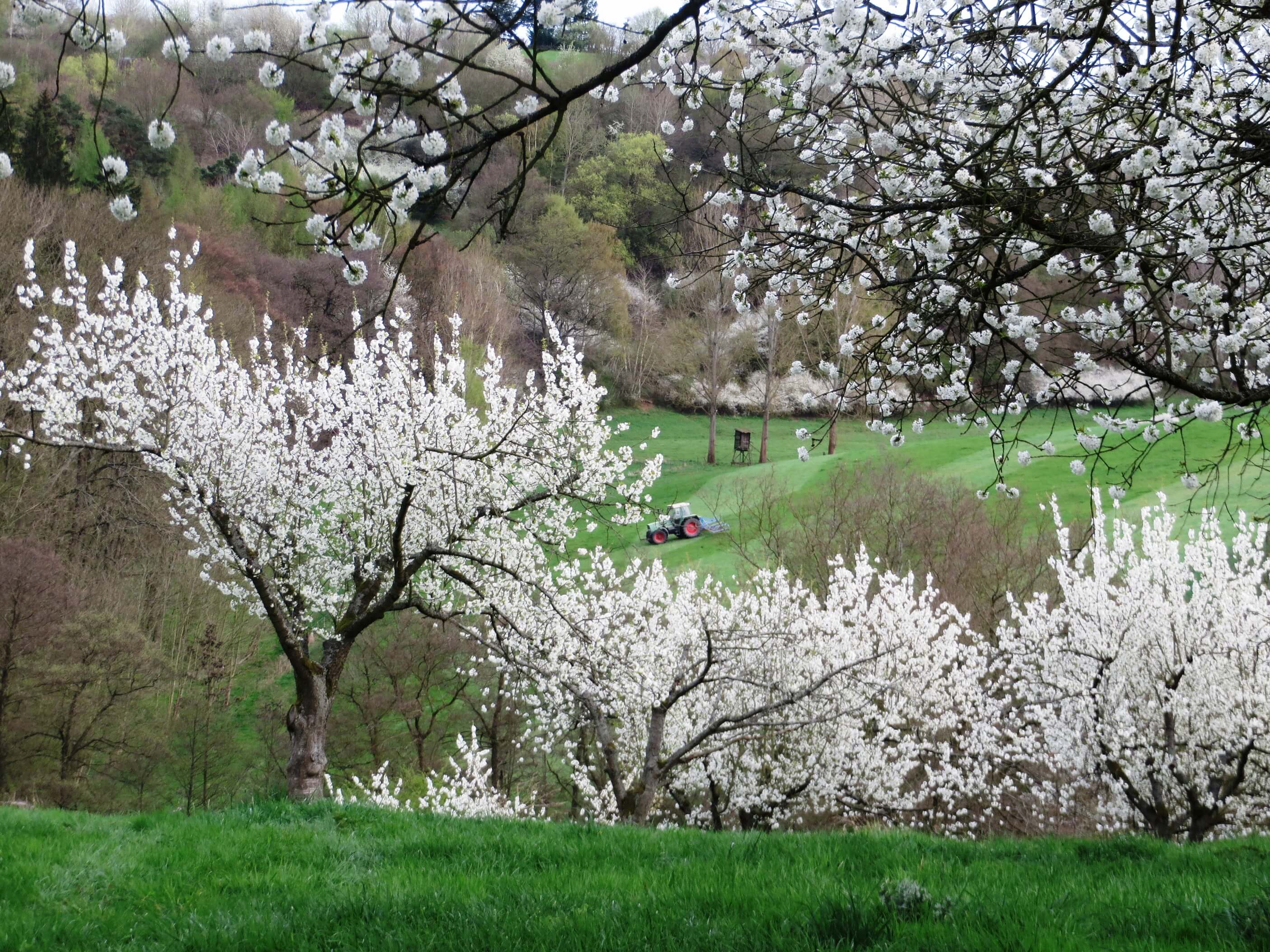 Wandern: Durchs Lippoldshäuser Feld