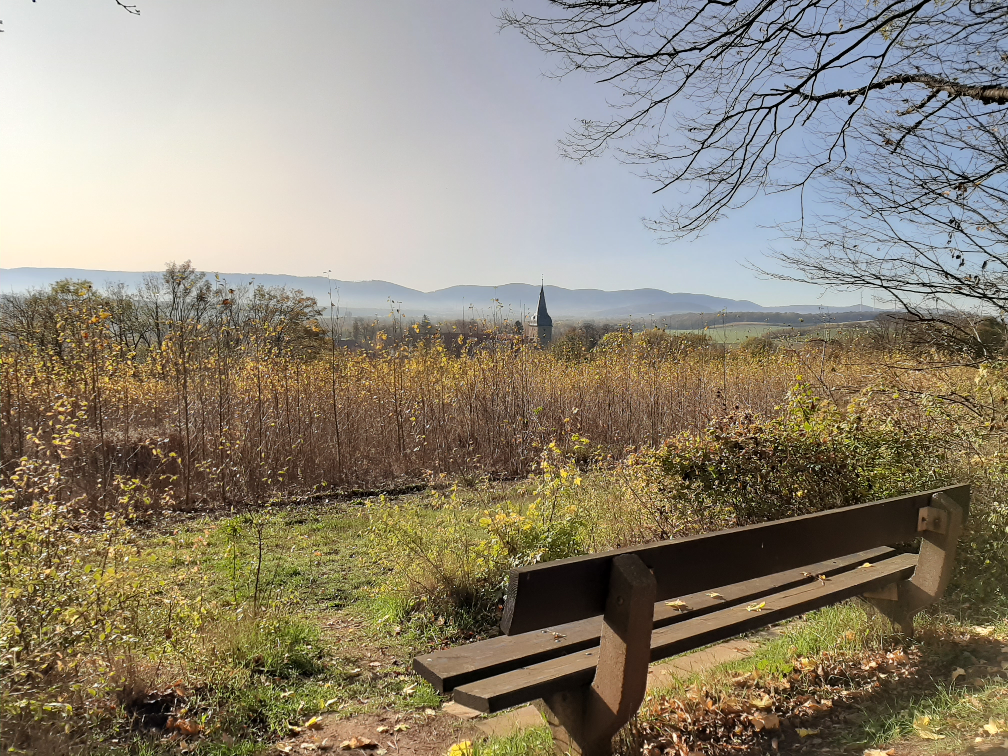 Harlyberg - Höhenzug