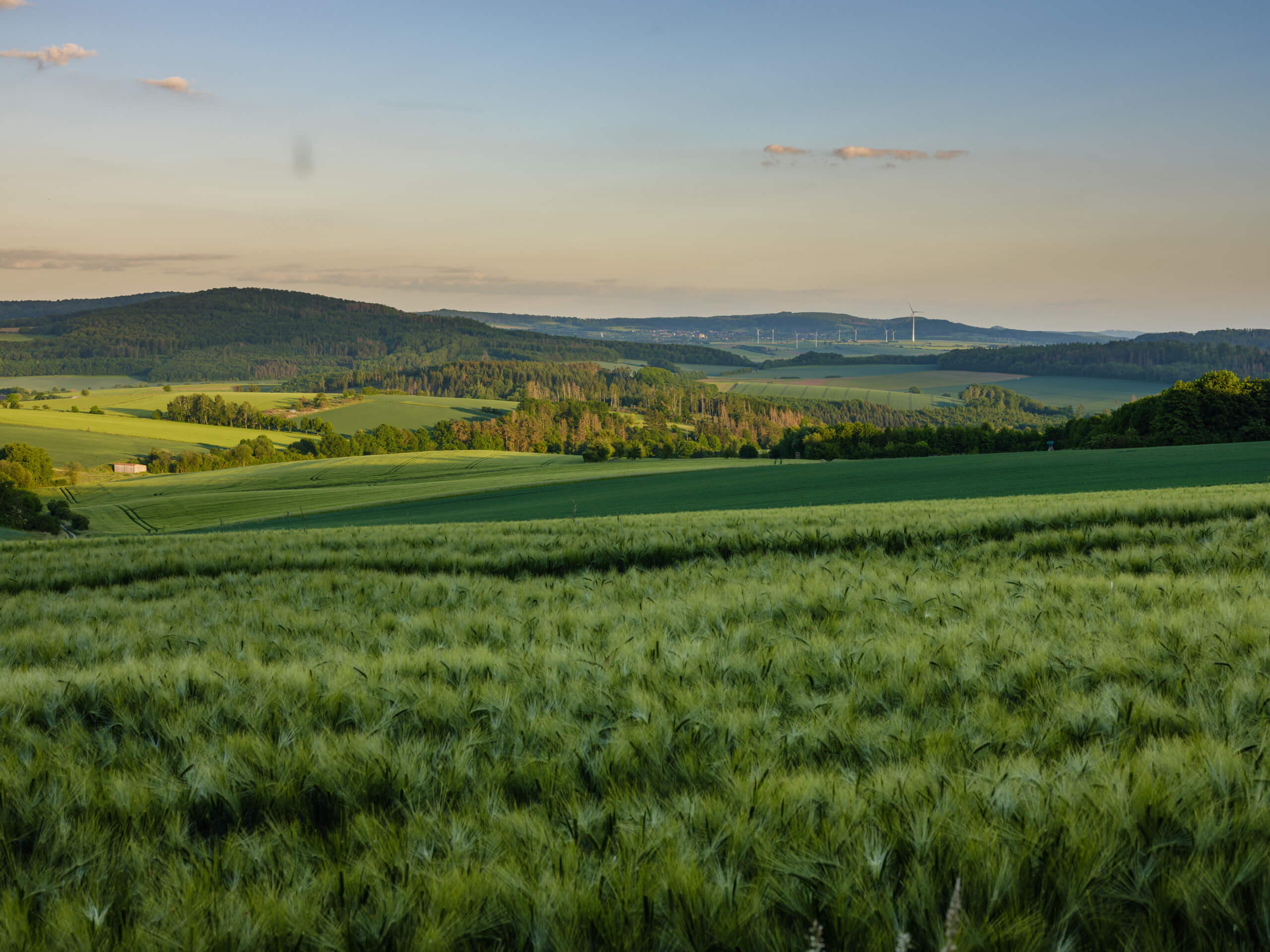 Dransfeld
