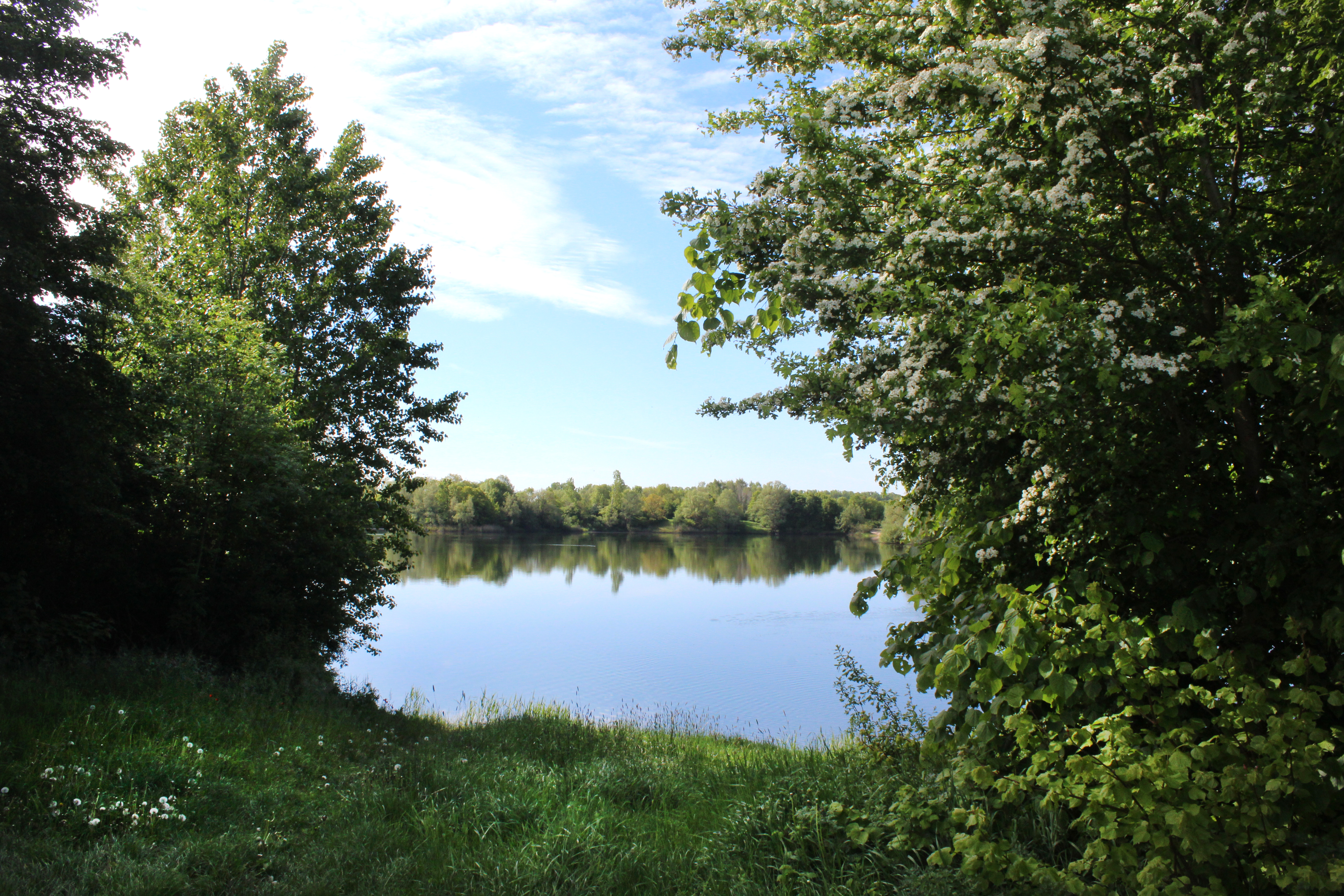 Hämelsee