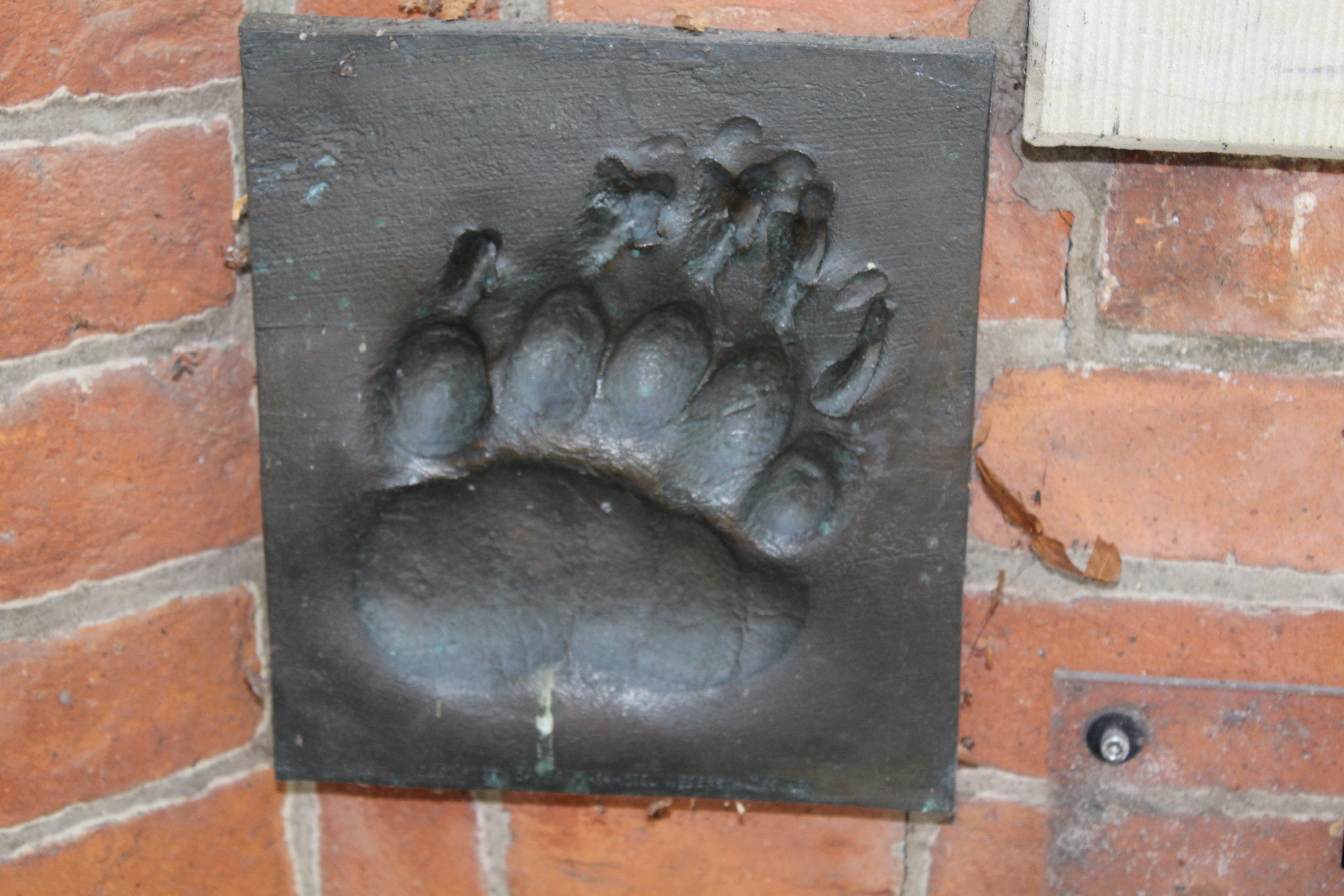 Bärentatzenrelief