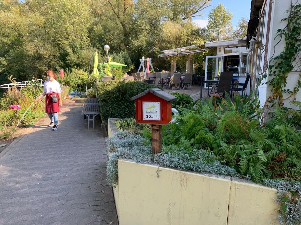 30. Station Vienenburger See Rosarium