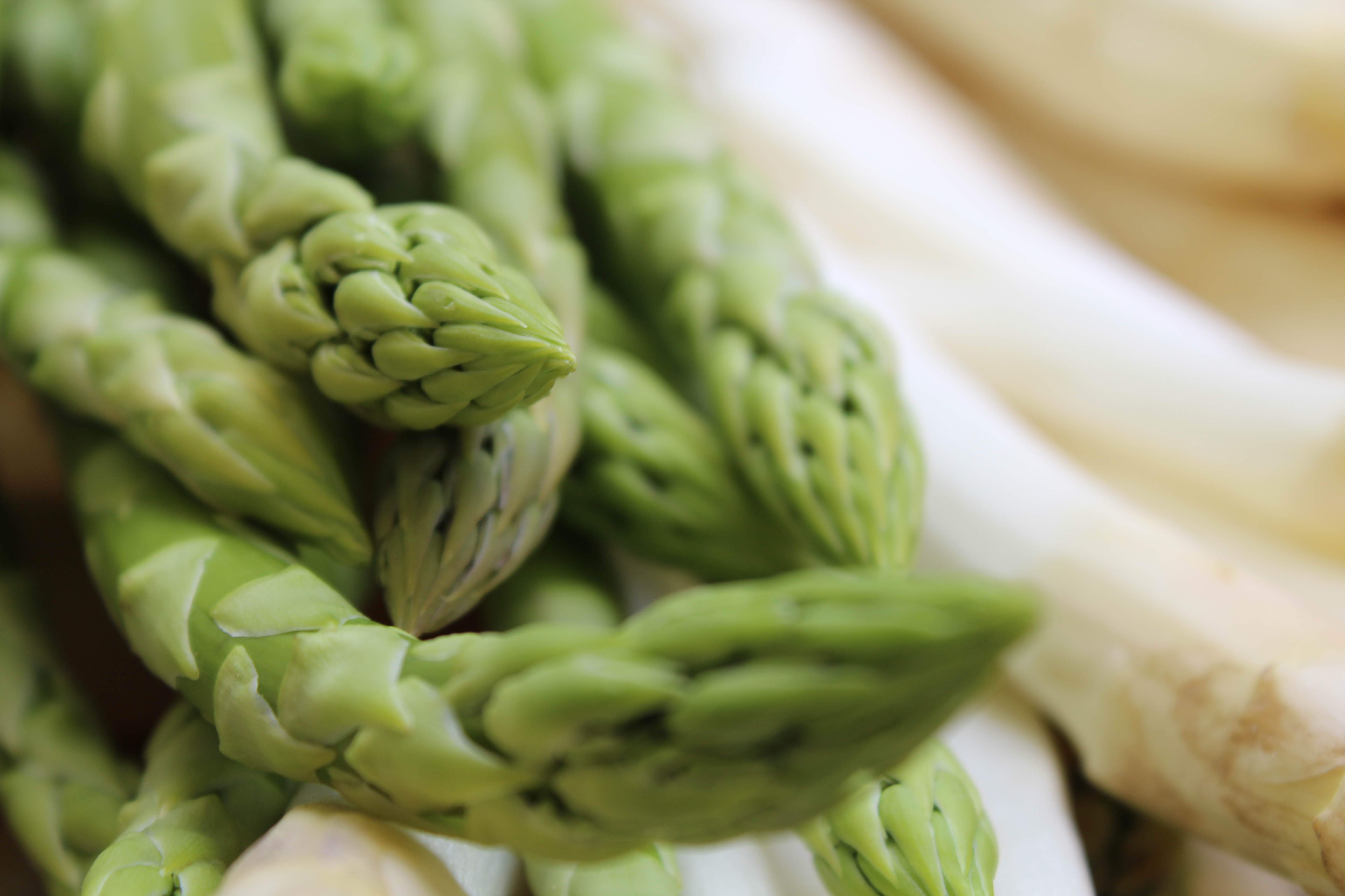 Göllner Spargel & Kartoffeln