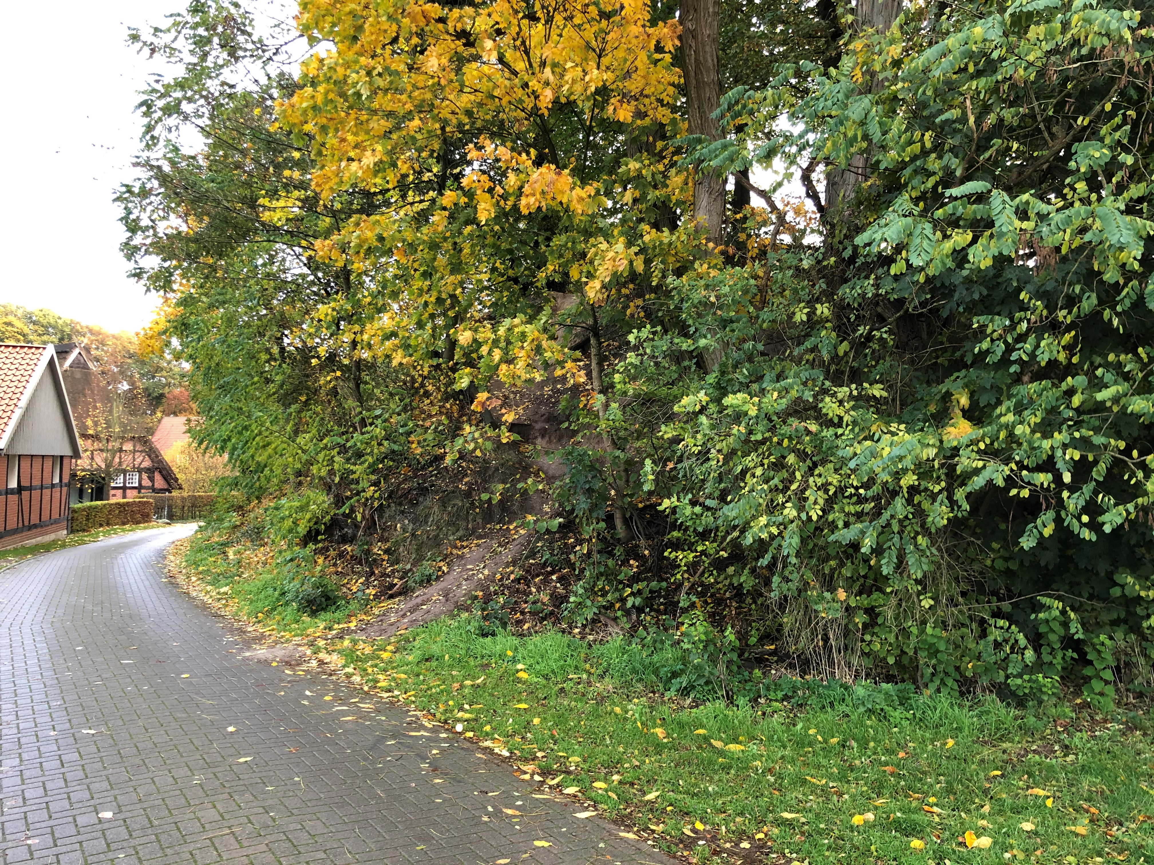 Ringwallanlage Heiligenberg