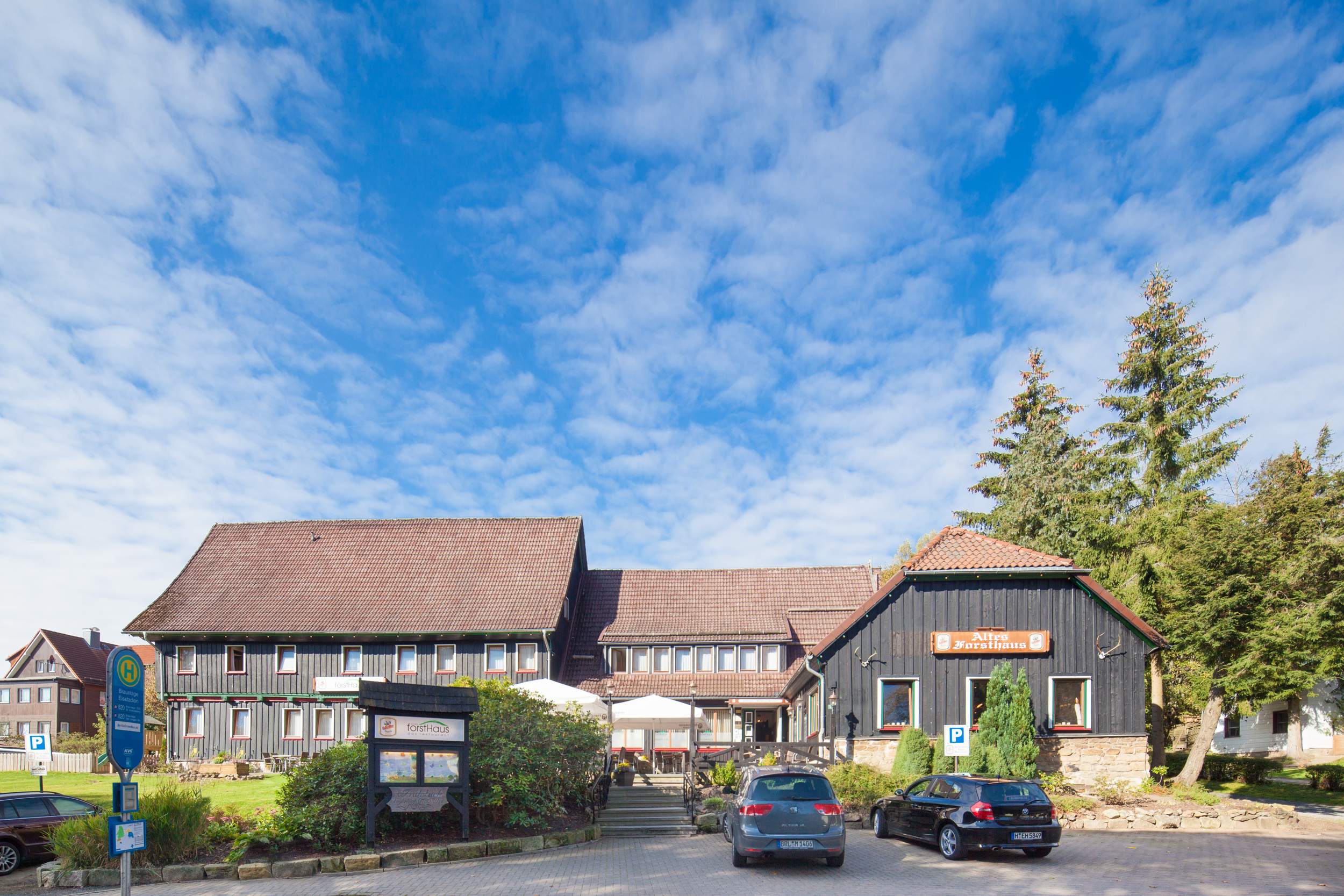 Singles braunlage